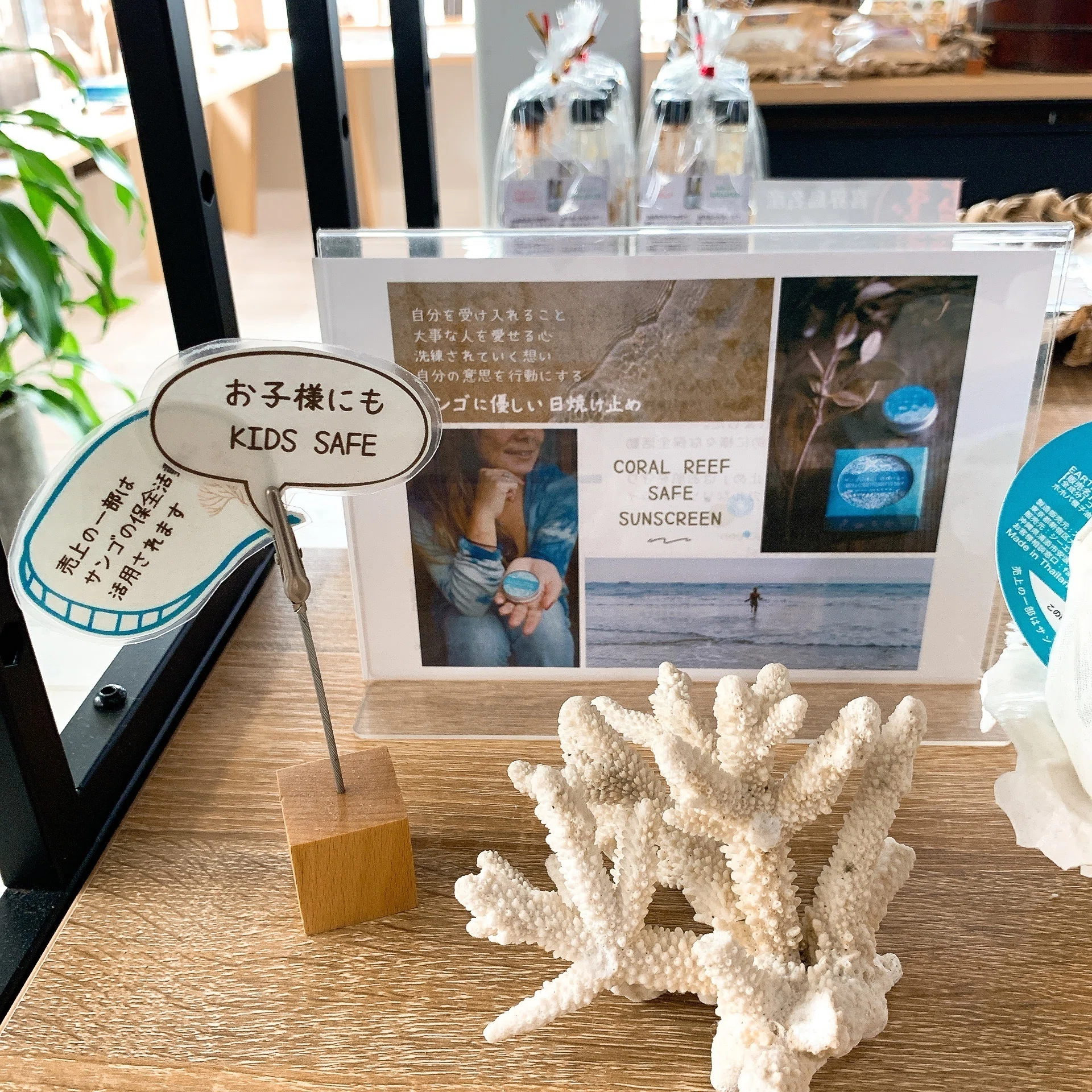 尾瀬好きが奄美に行って深く感じたこと-①海の危機-｜OzeNature
