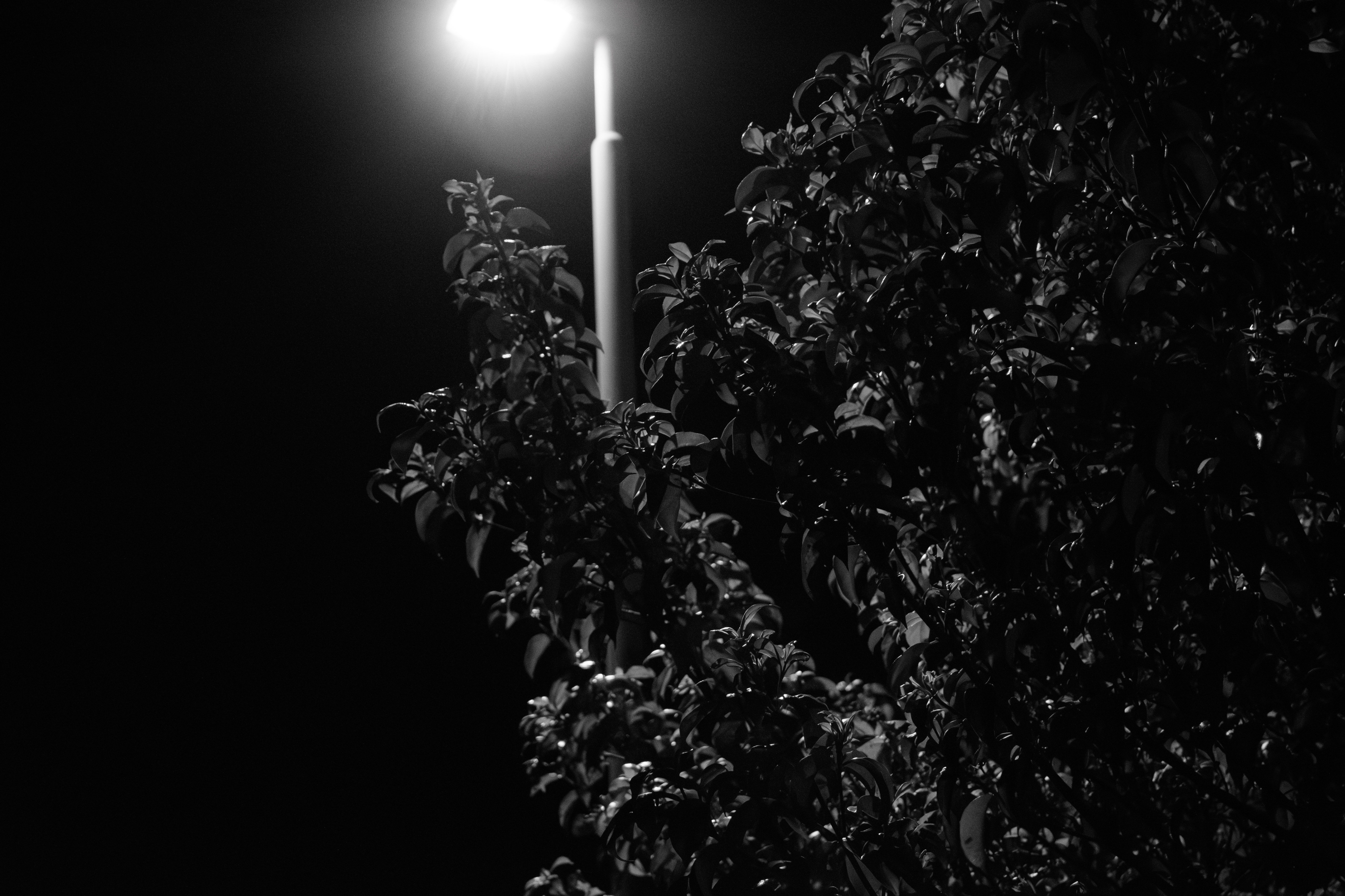 Nikon Z 50で夜を撮る｜Omori 