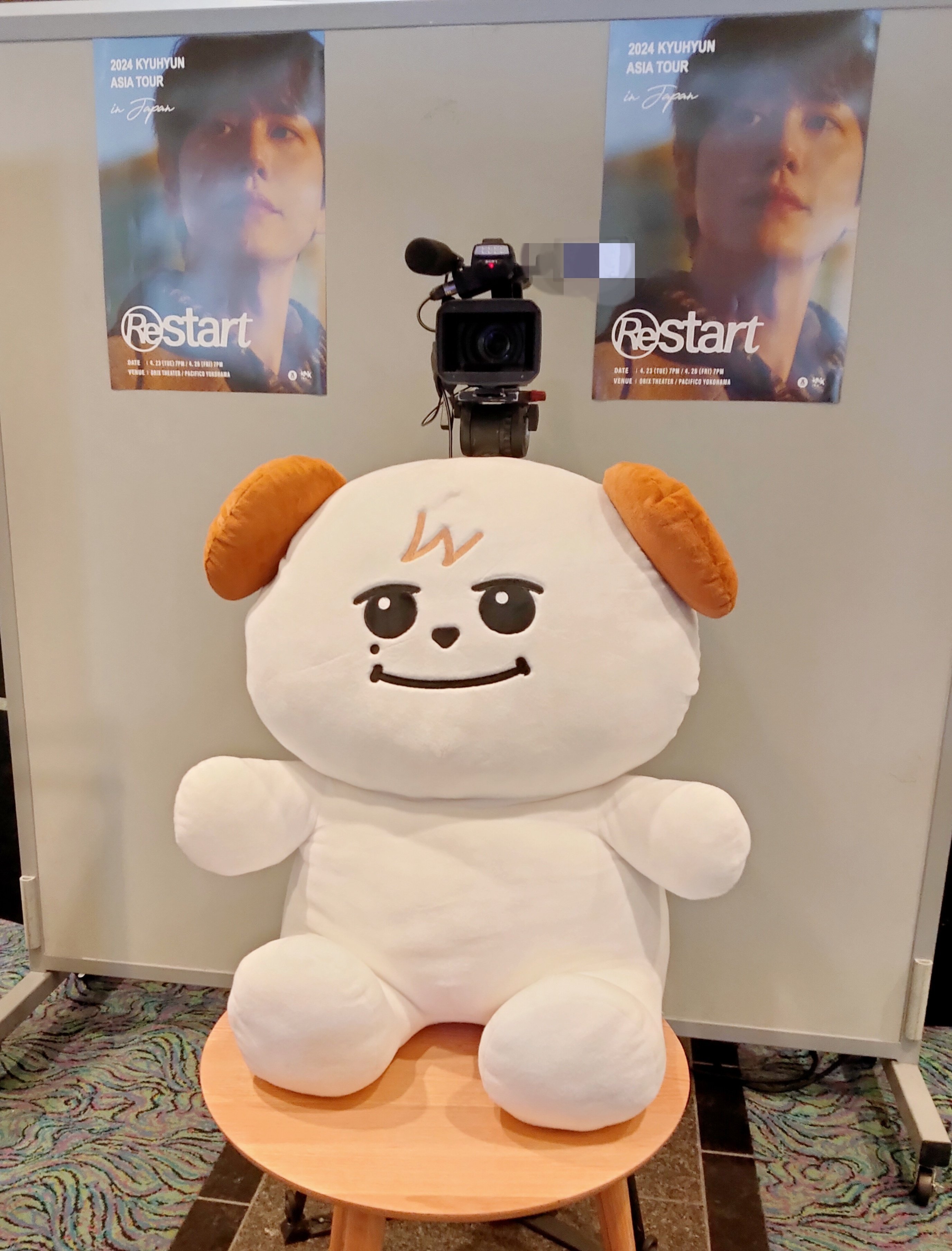 2025年最新】キュヒョ ぬいぐるみの人気アイテム - メルカリ