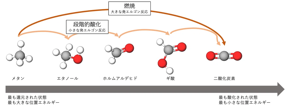 Off Flavor入門〜⑬酸化還元の基礎|Shiro Yamada