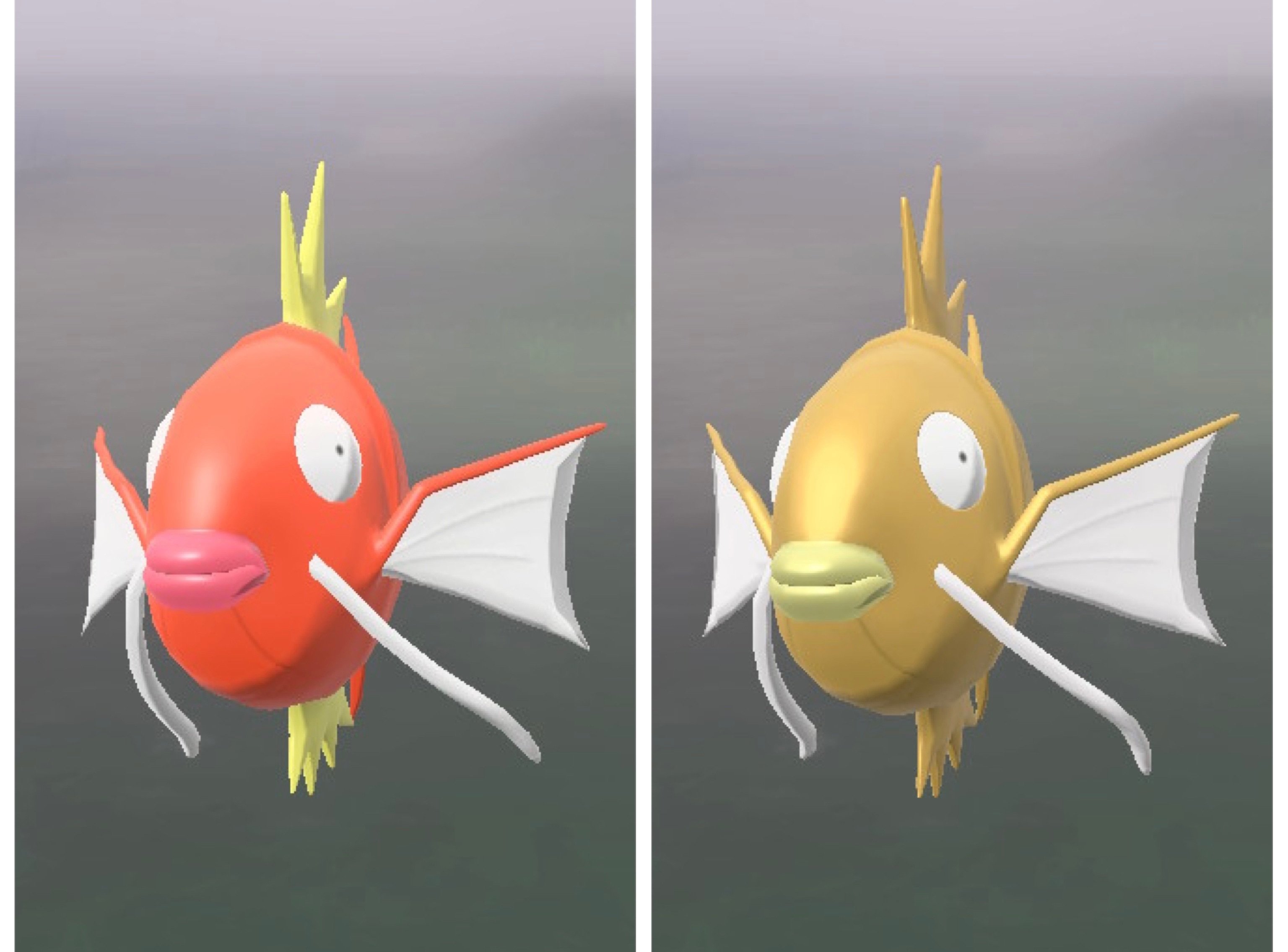 LA】コイキング｜双葉月＊