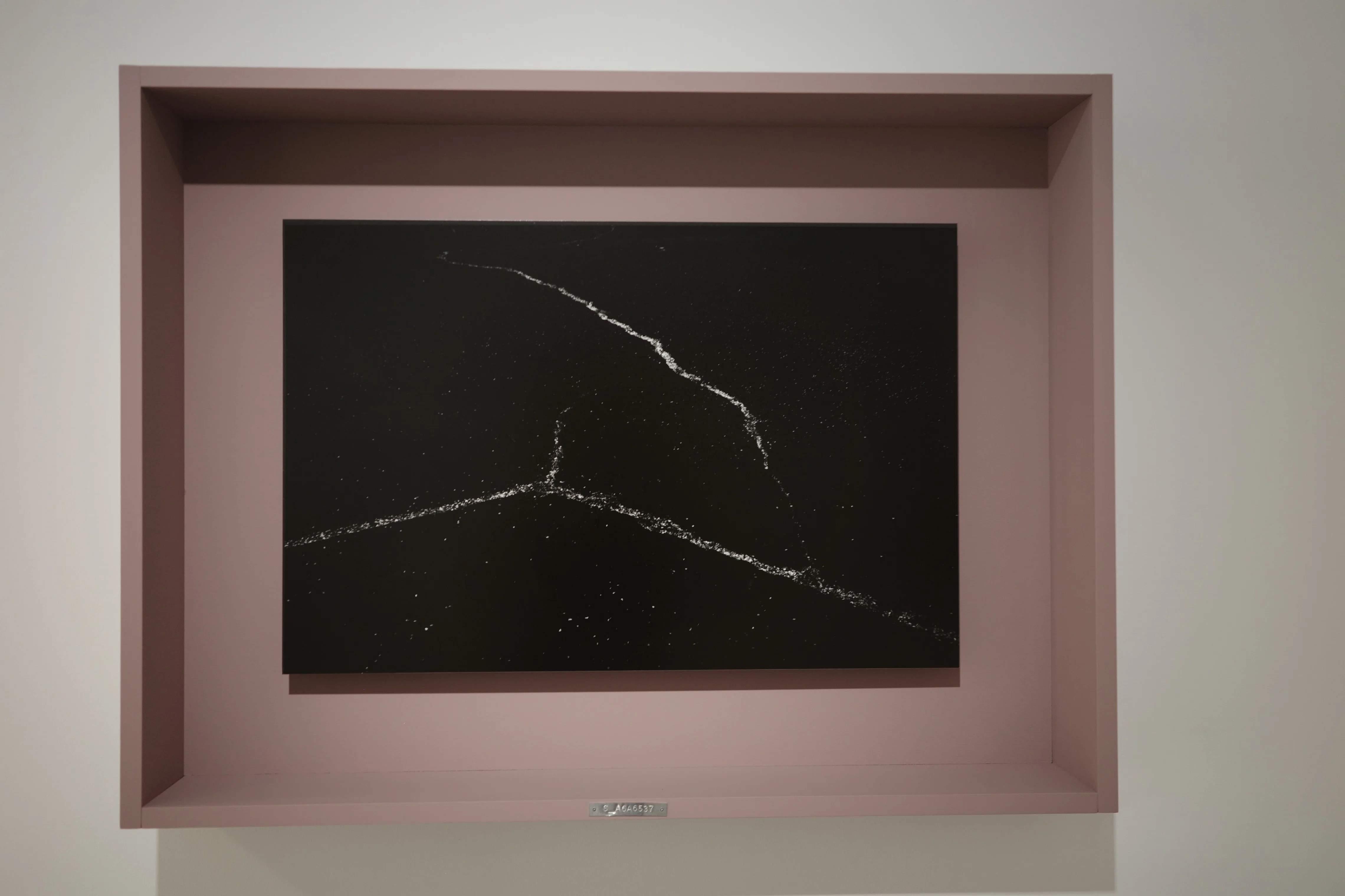 高木由利子さんの写真展 カオスコスモス 弍 -桜- GYRE GALLERYで4/29