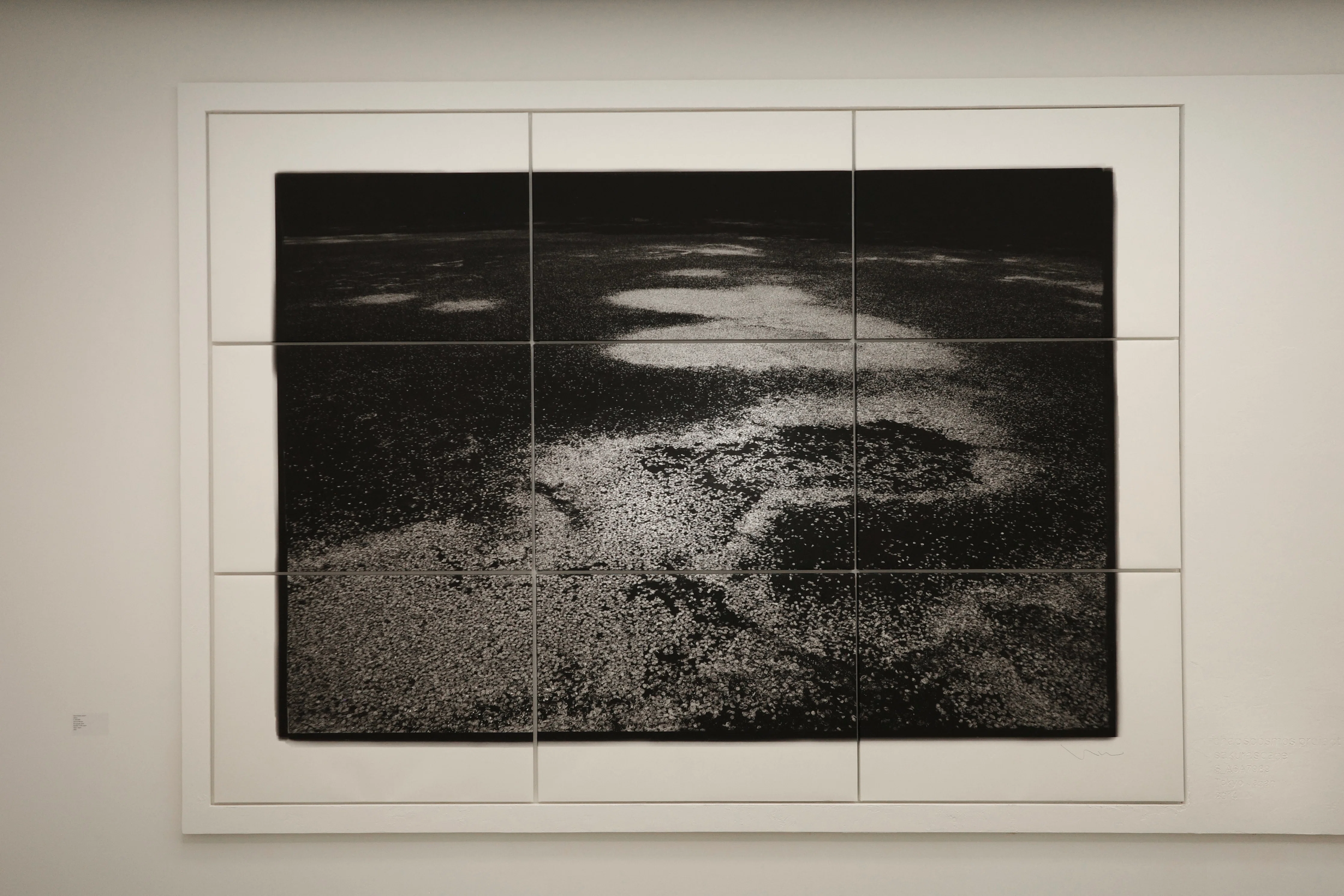 高木由利子さんの写真展 カオスコスモス 弍 -桜- GYRE GALLERYで4/29