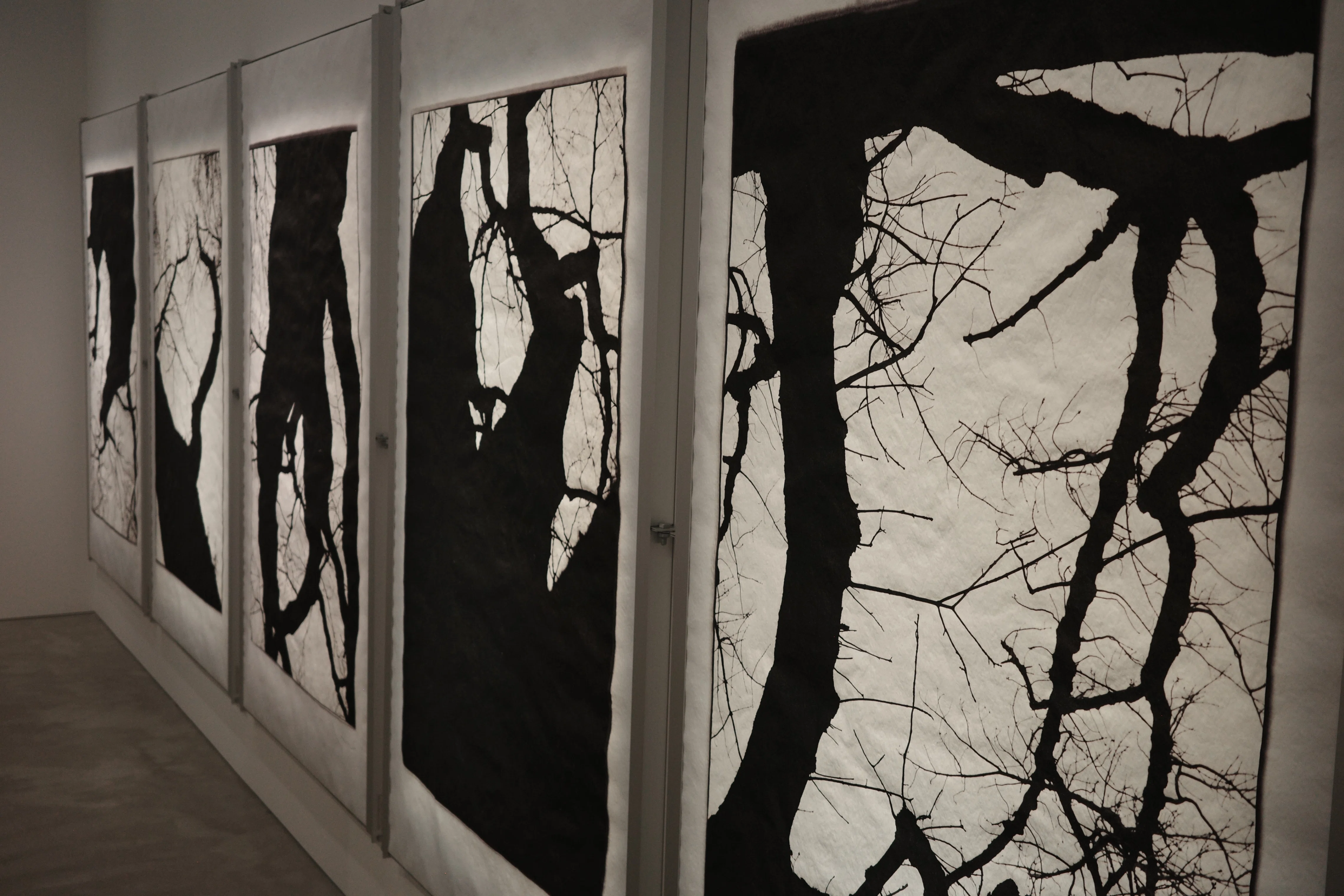 高木由利子さんの写真展 カオスコスモス 弍 -桜- GYRE GALLERYで4/29