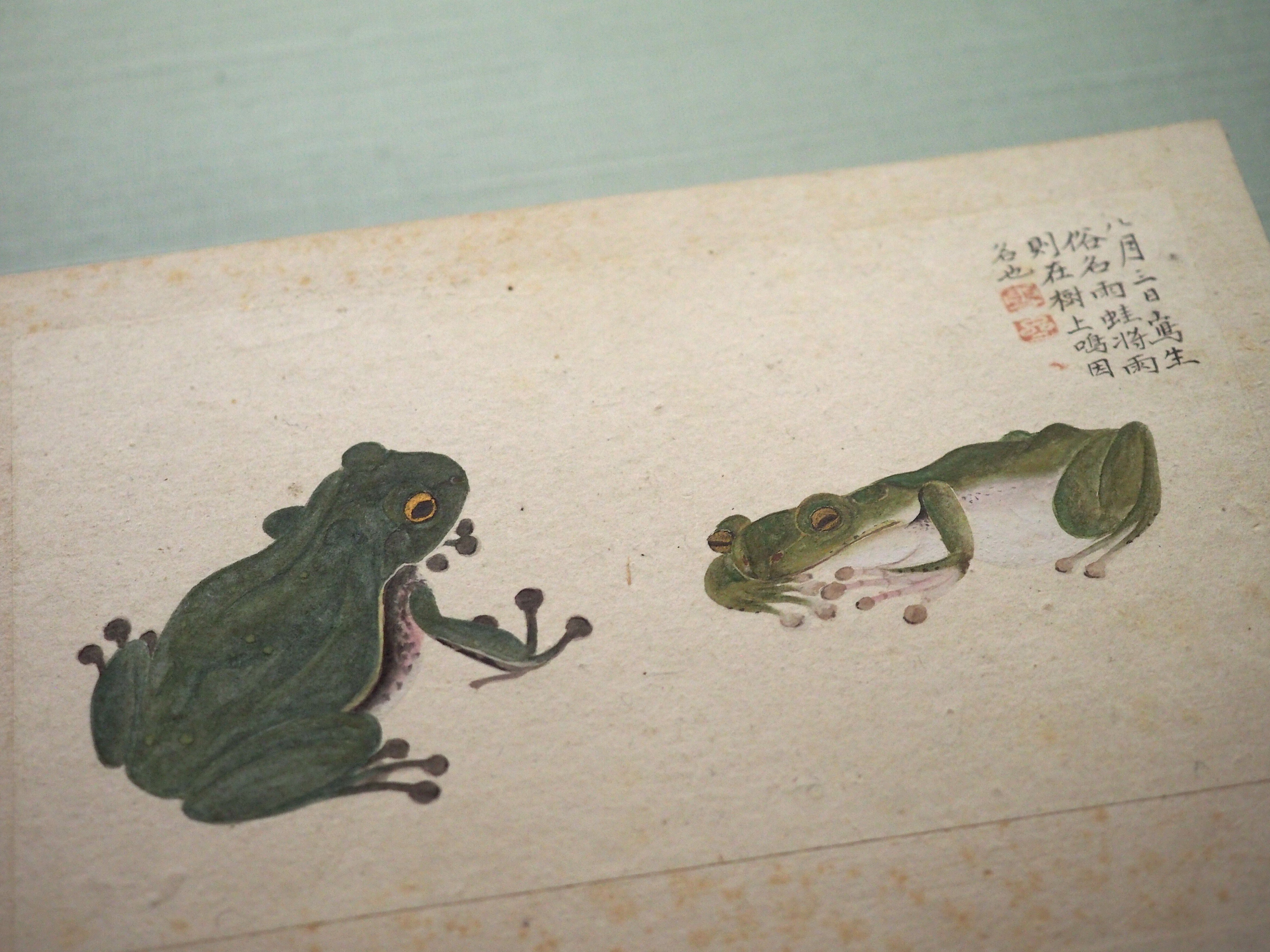 江戸時代に殿様が描いて作った虫の図譜……蟲を愛した増山雪斎さん 江戸時代に殿様が描いて作った虫の図譜……蟲を愛した増山雪斎さん