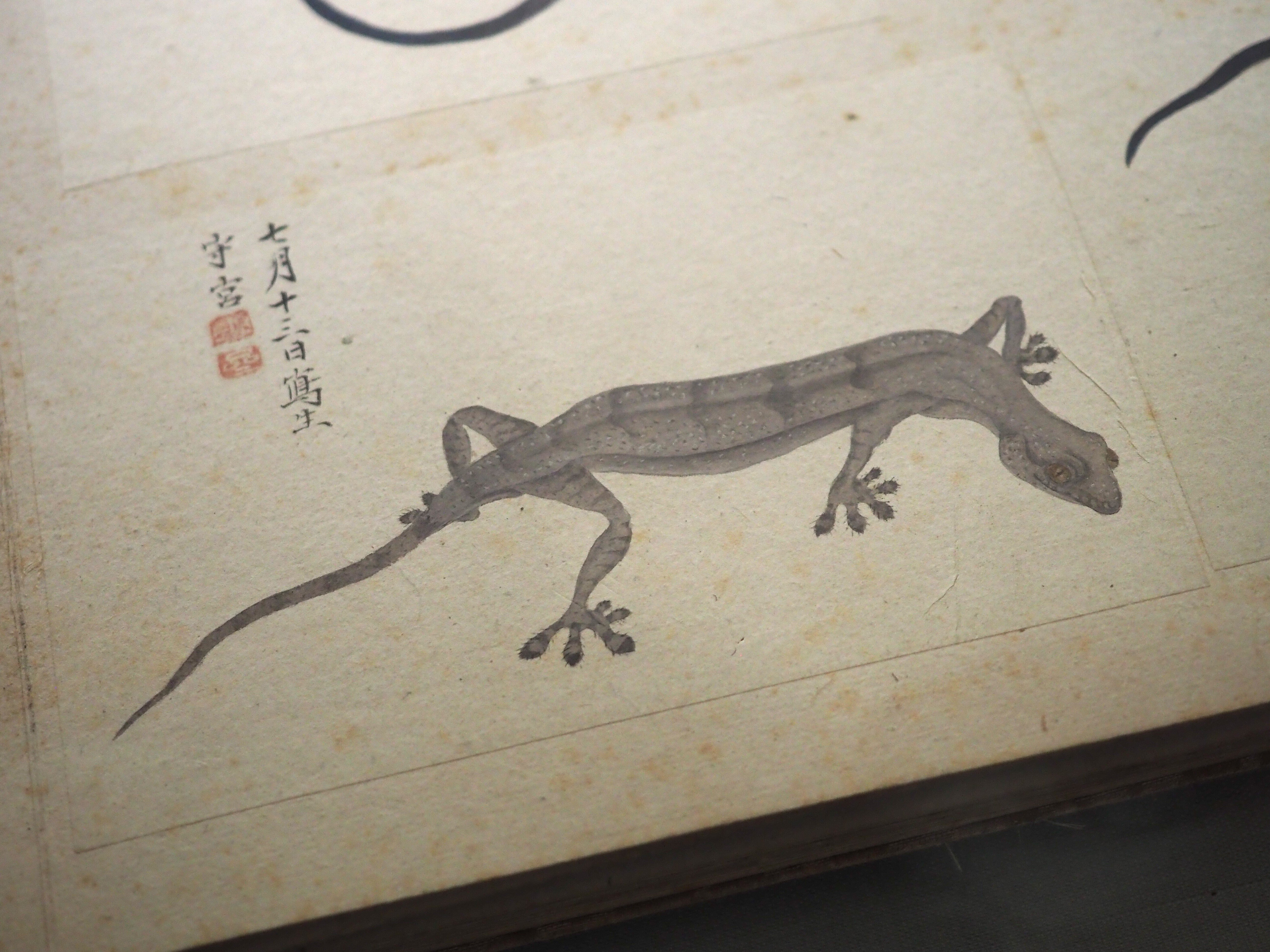 江戸時代 中〜後期 大名 文人大名 増山正賢 増山 雪斎 掛軸 書画