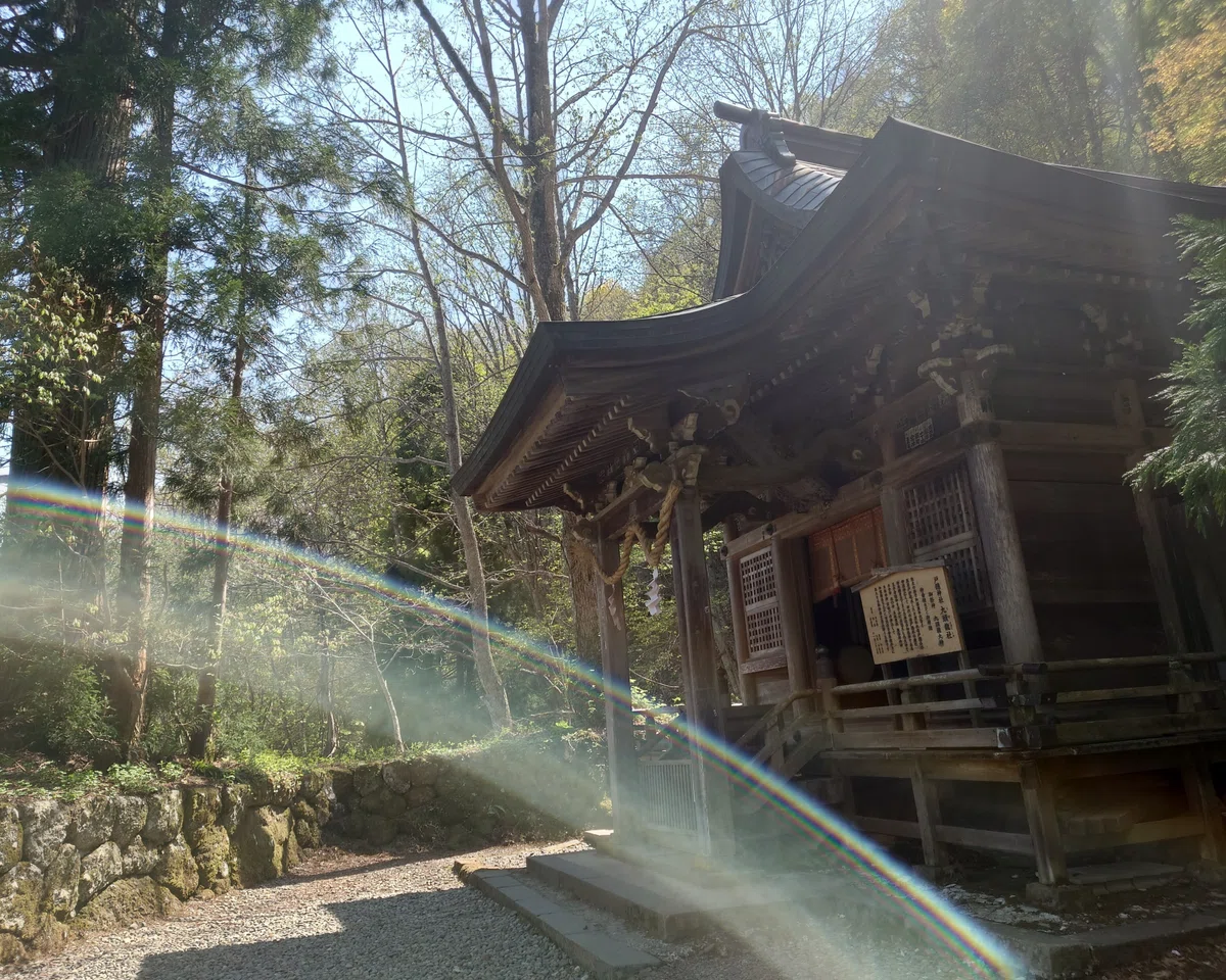 戸隠神社奥社参拝と不思議写真·*｜雨のち晴れ·*