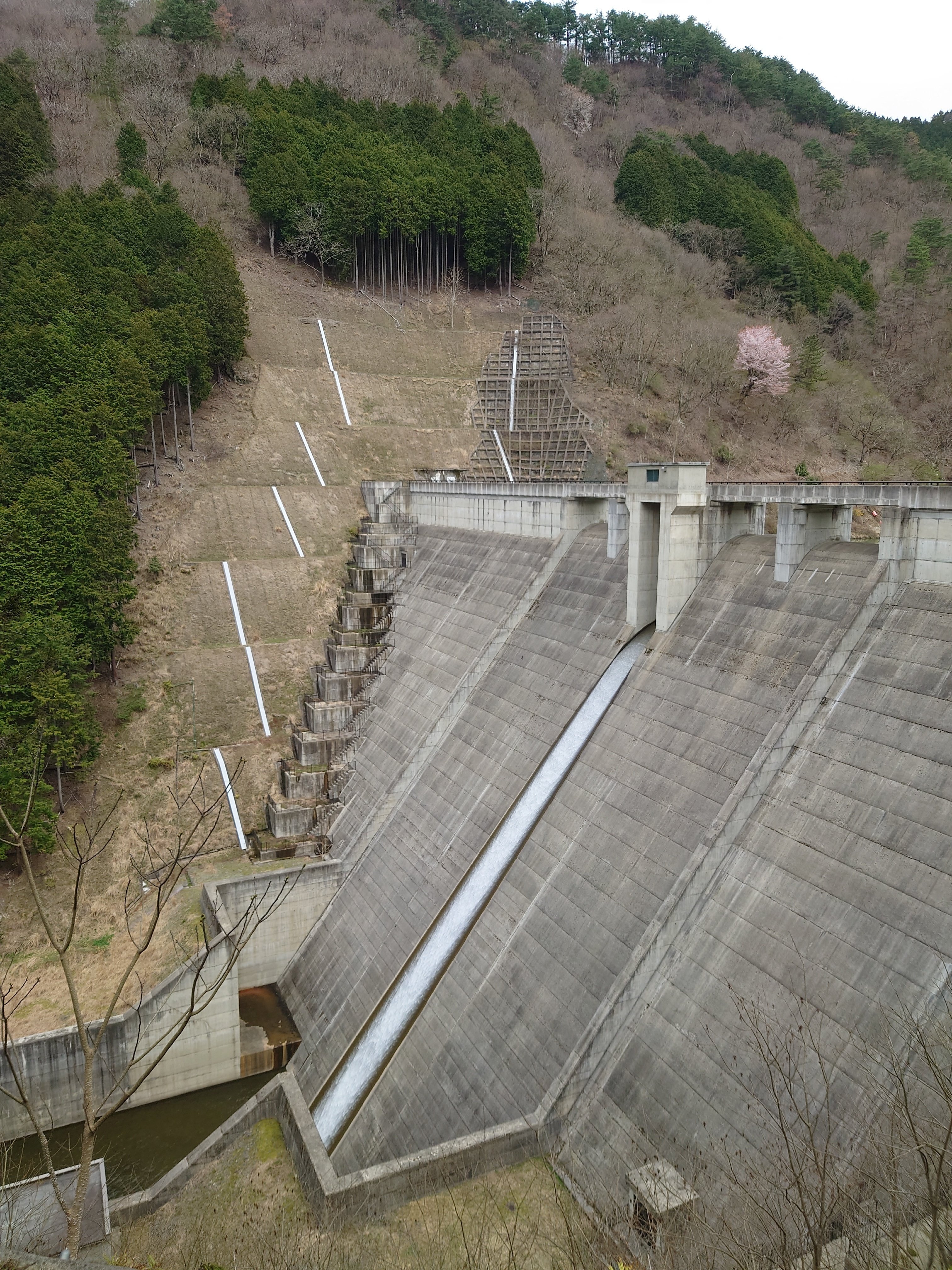 ダムカード ☆ 与布土ダム 竣工記念