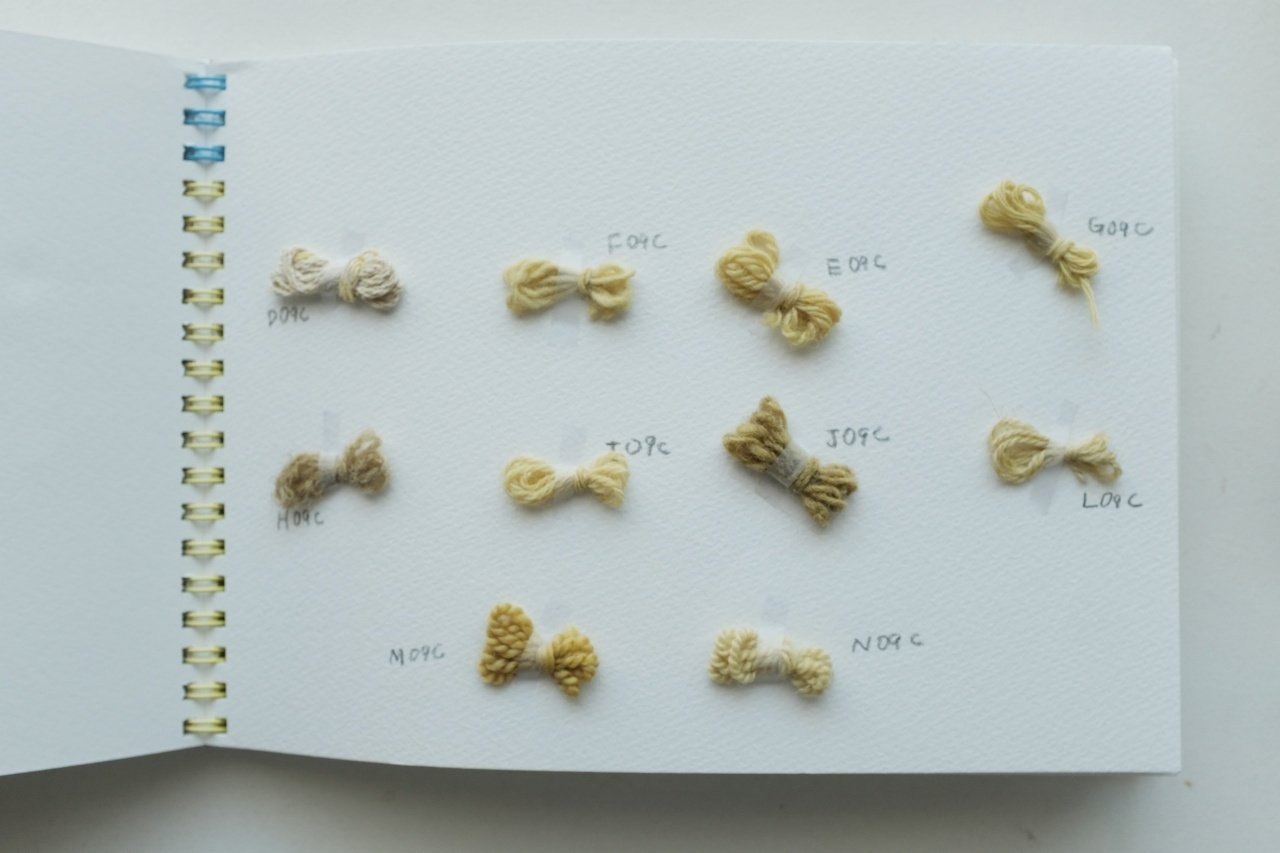 身のまわりの植物で糸を染める記録 ID09 - 染料店の槐 Japanese 身のまわりの植物で糸を染める記録 ID09 - 染料店の槐 Japanese