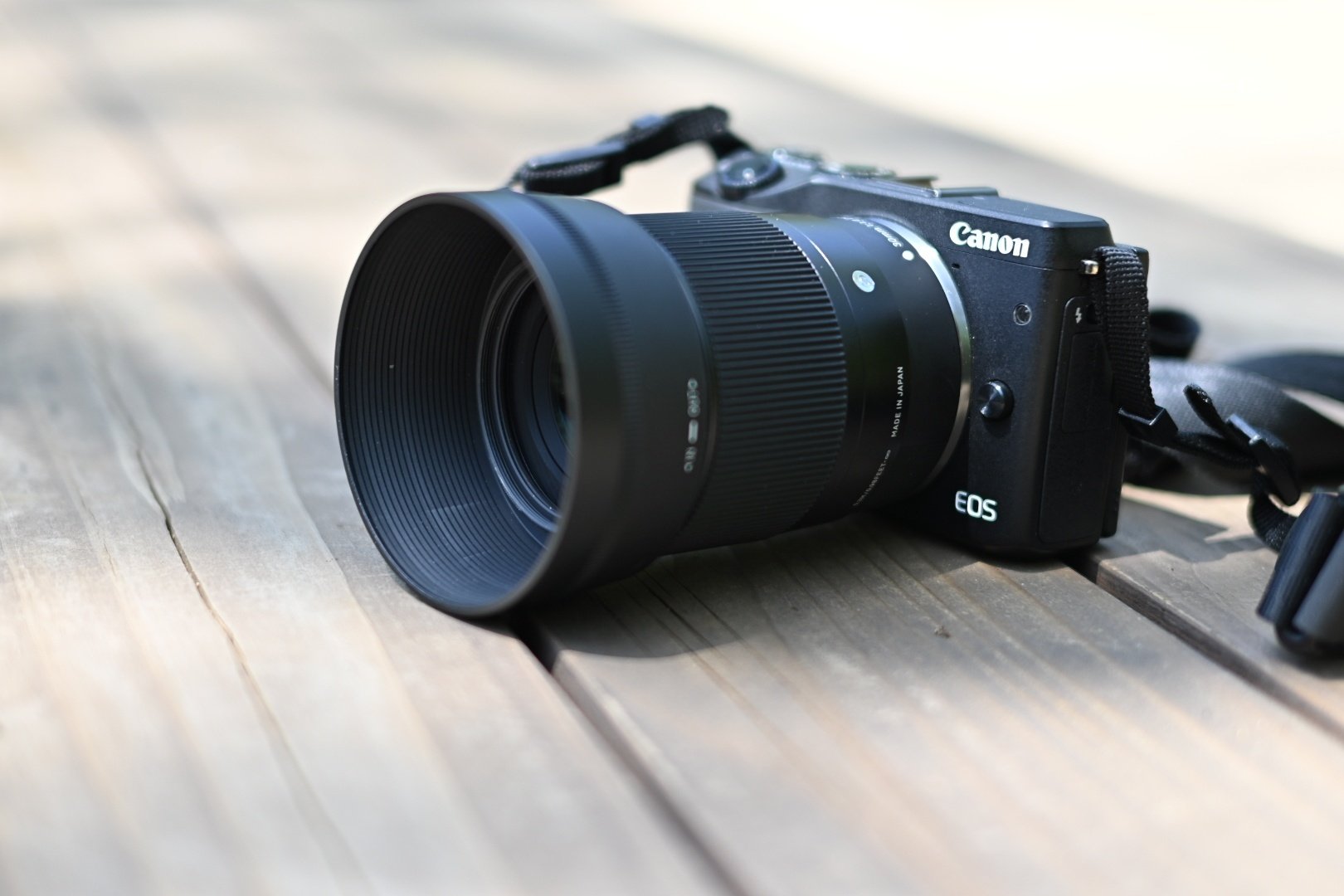 Nikon デジタル一眼レフカメラ D100 Sigmaレンズ付き Nikon デジタル一眼レフカメラ D100 Sigmaレンズ付き