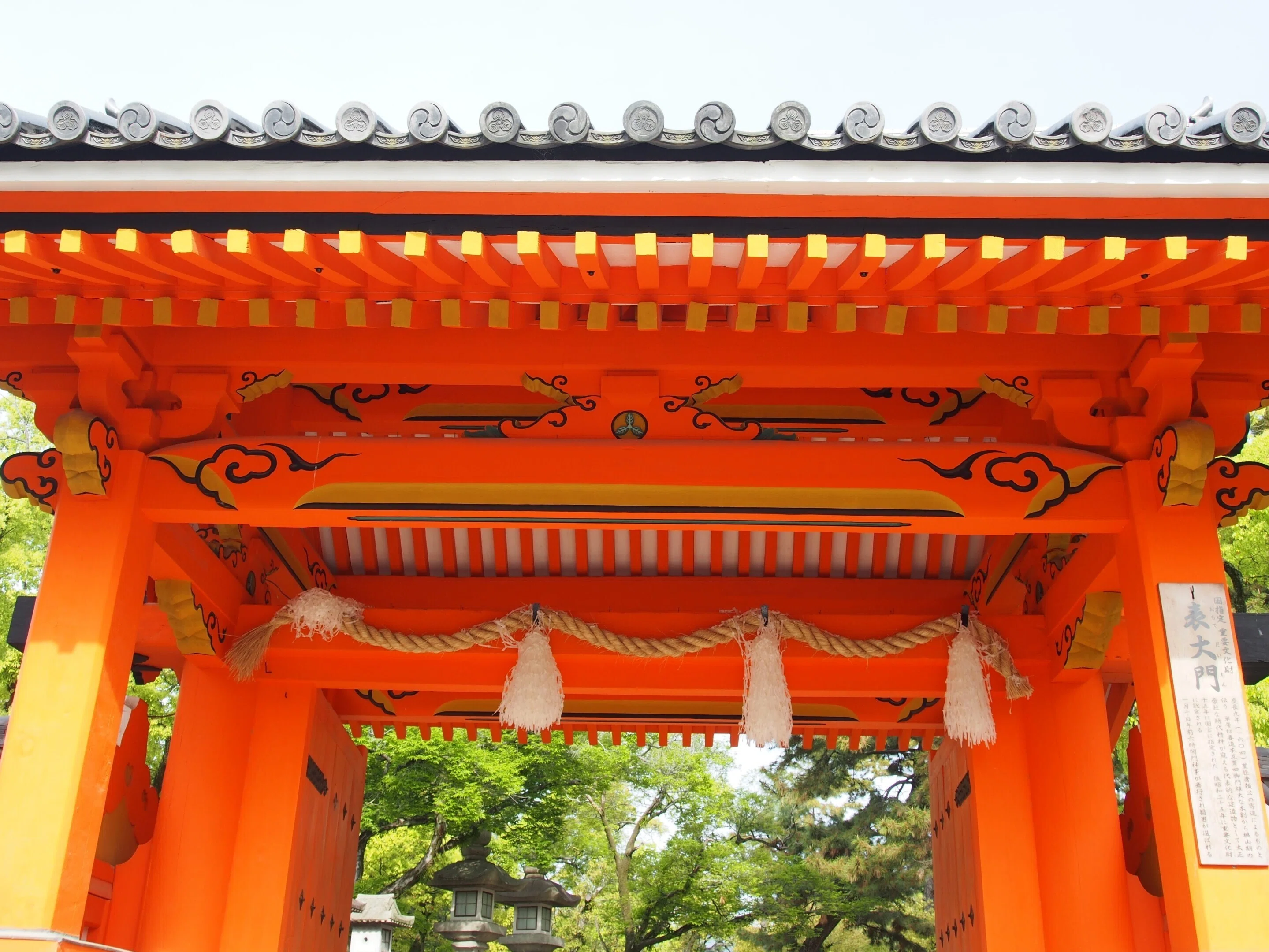 西宮市 西宮神社2024年4月26日【藤, カキツバタ】｜レタス