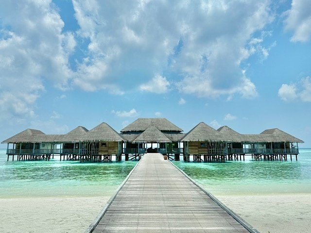 モルディブで感動体験！3mのサメと戯れ、ご褒美水上スパ！｜戸川みゆき