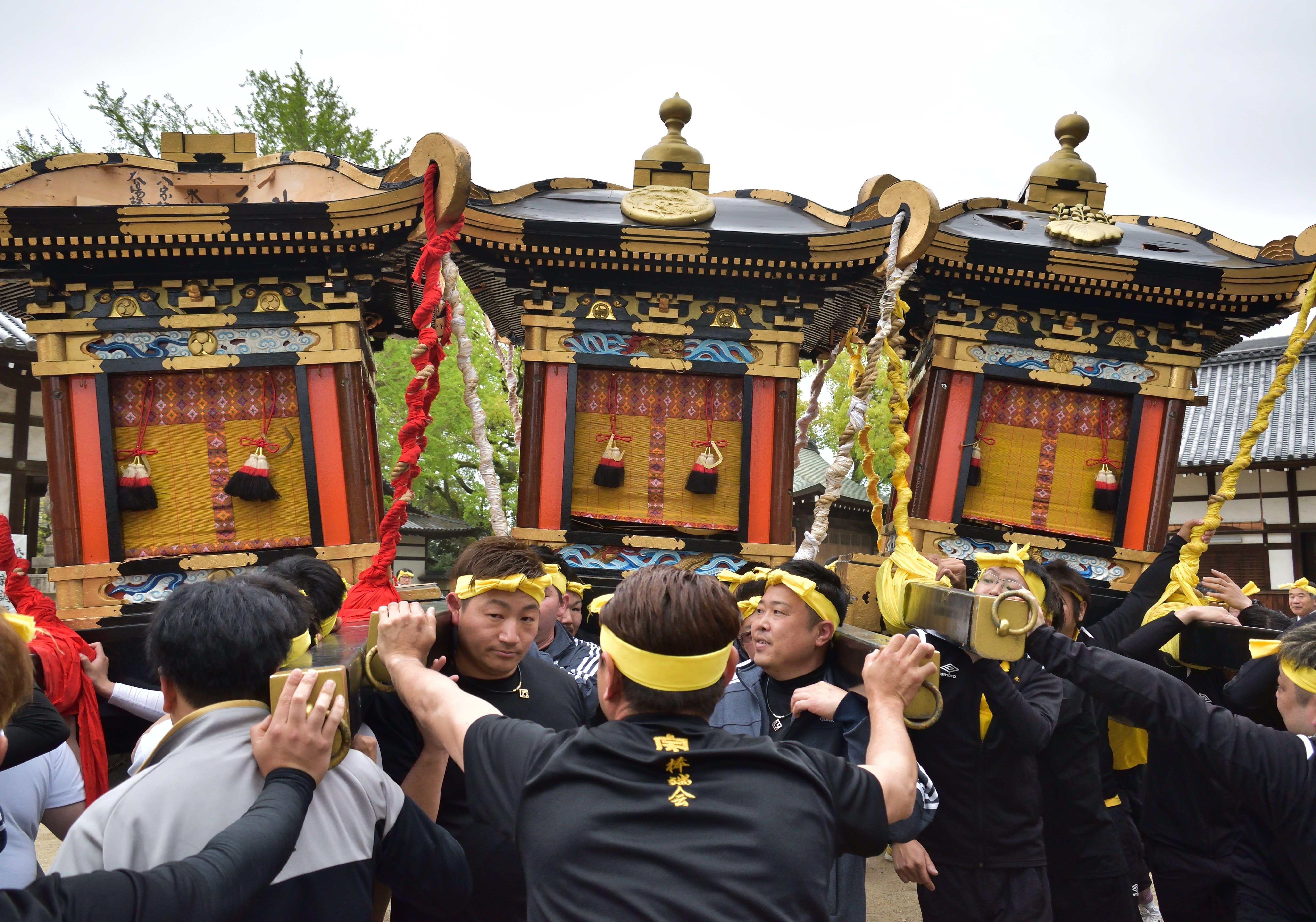 灘のけんか祭り:神輿新調鑿入祭｜姫路いきもの写真