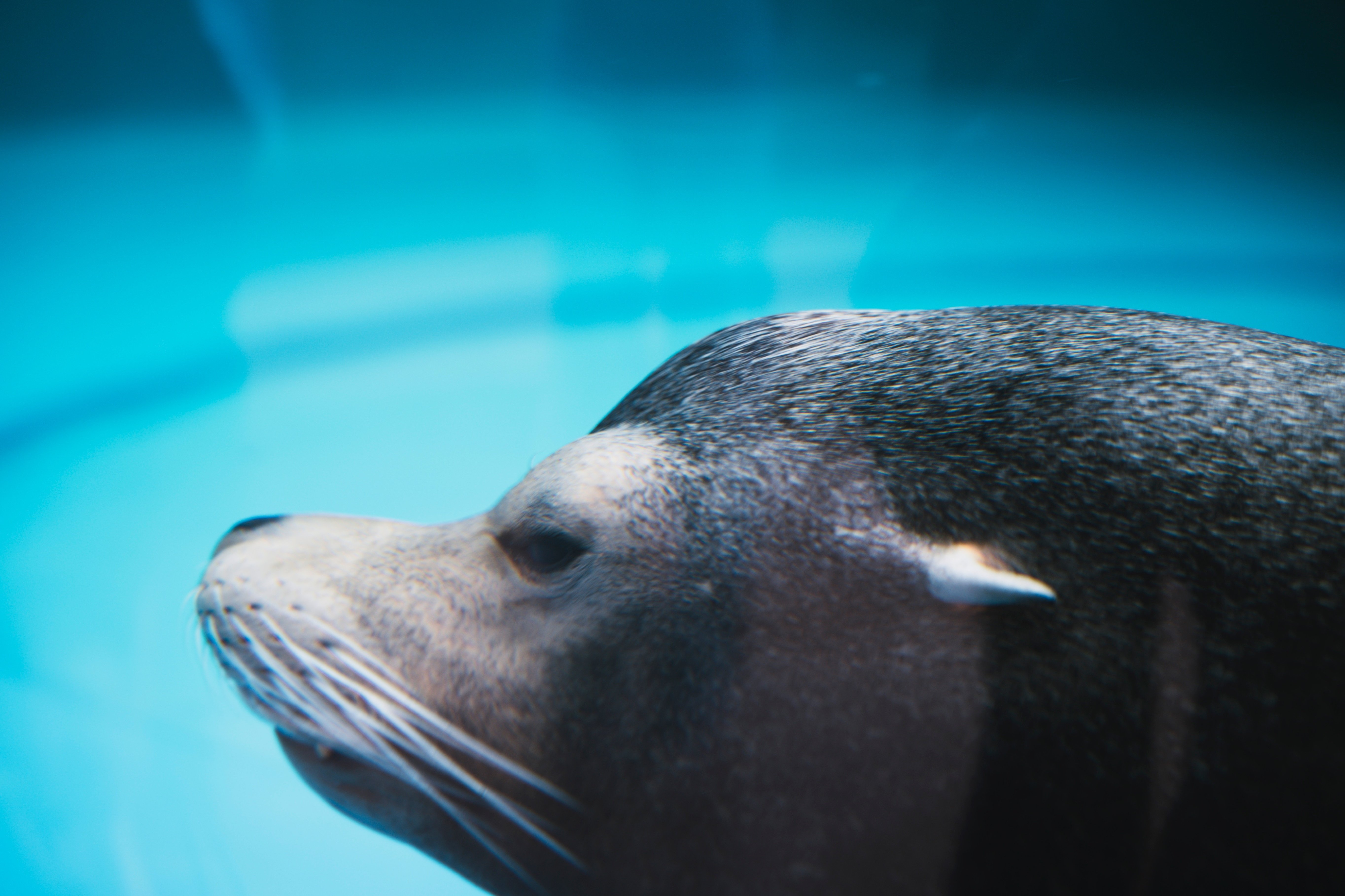 生物　閲覧用 サンシャイン水族館へ。 ｜ Nikon Zf｜yoriknit