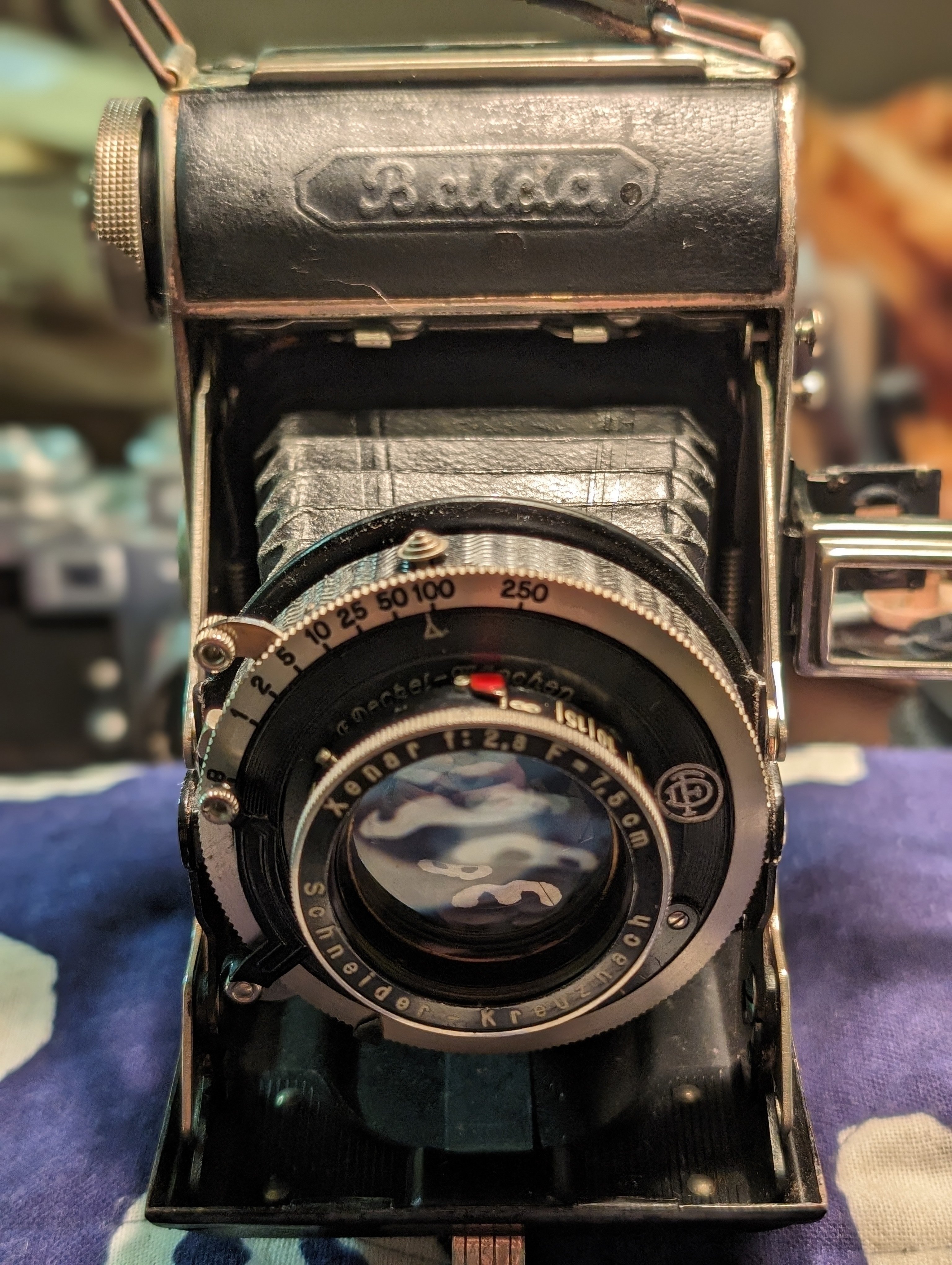 齢90歳位のBALDAさん！｜傳次郎