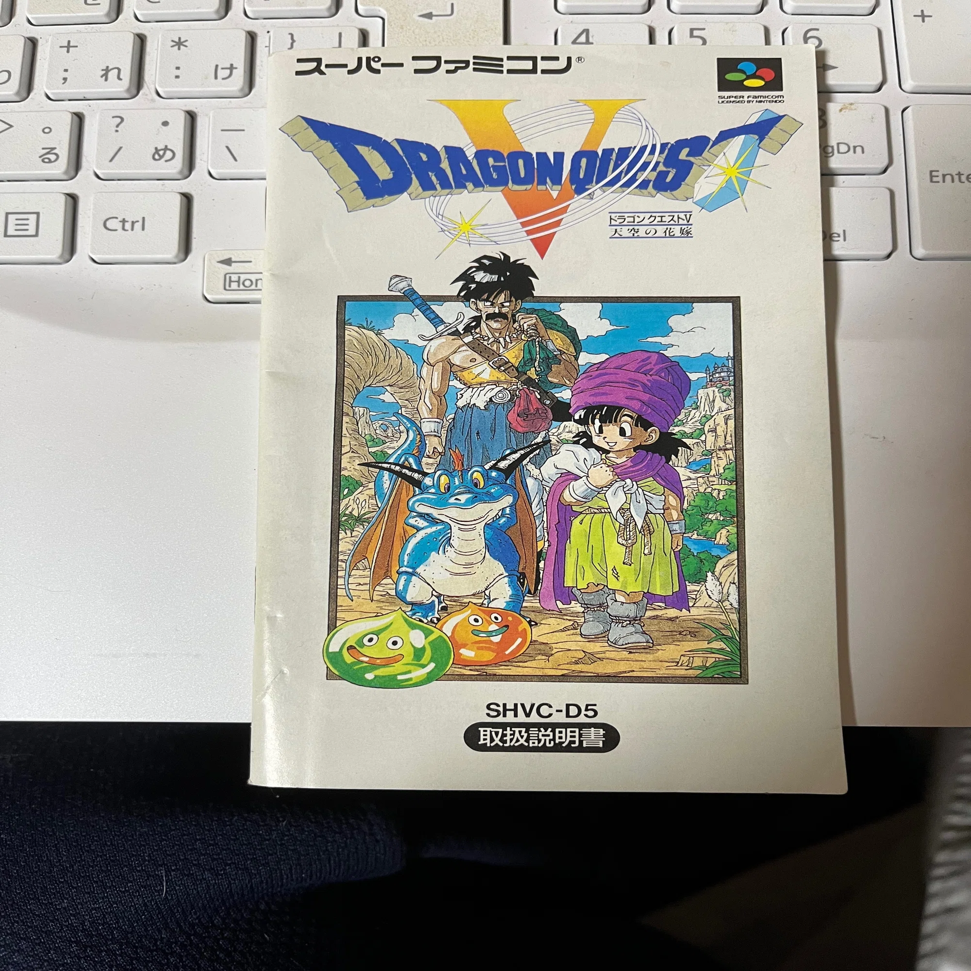 ゲームの説明書読んでる時が1番楽しいまである｜カノッサ