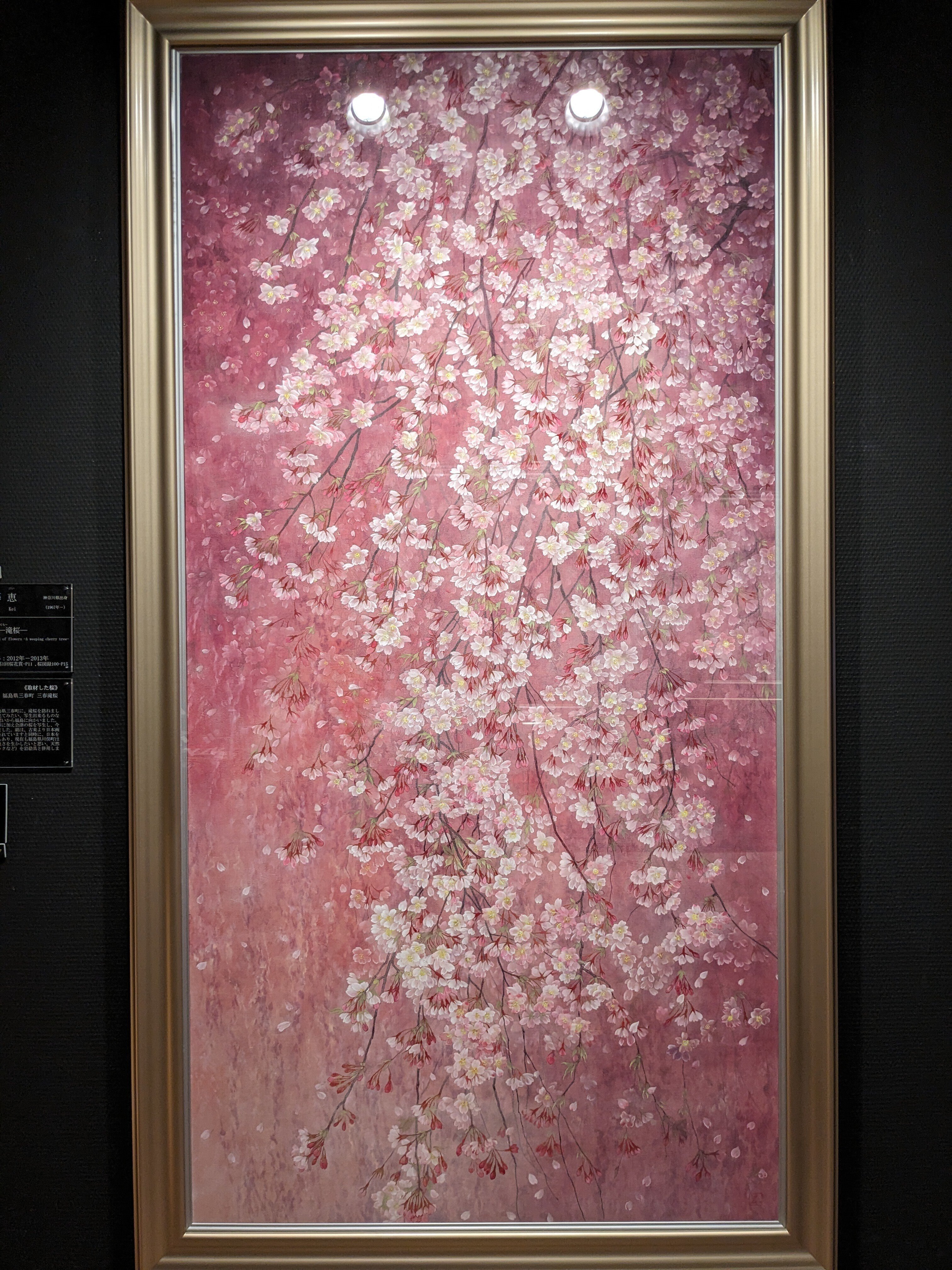 第11回 郷さくら美術館 桜花賞展｜TakeKuroki