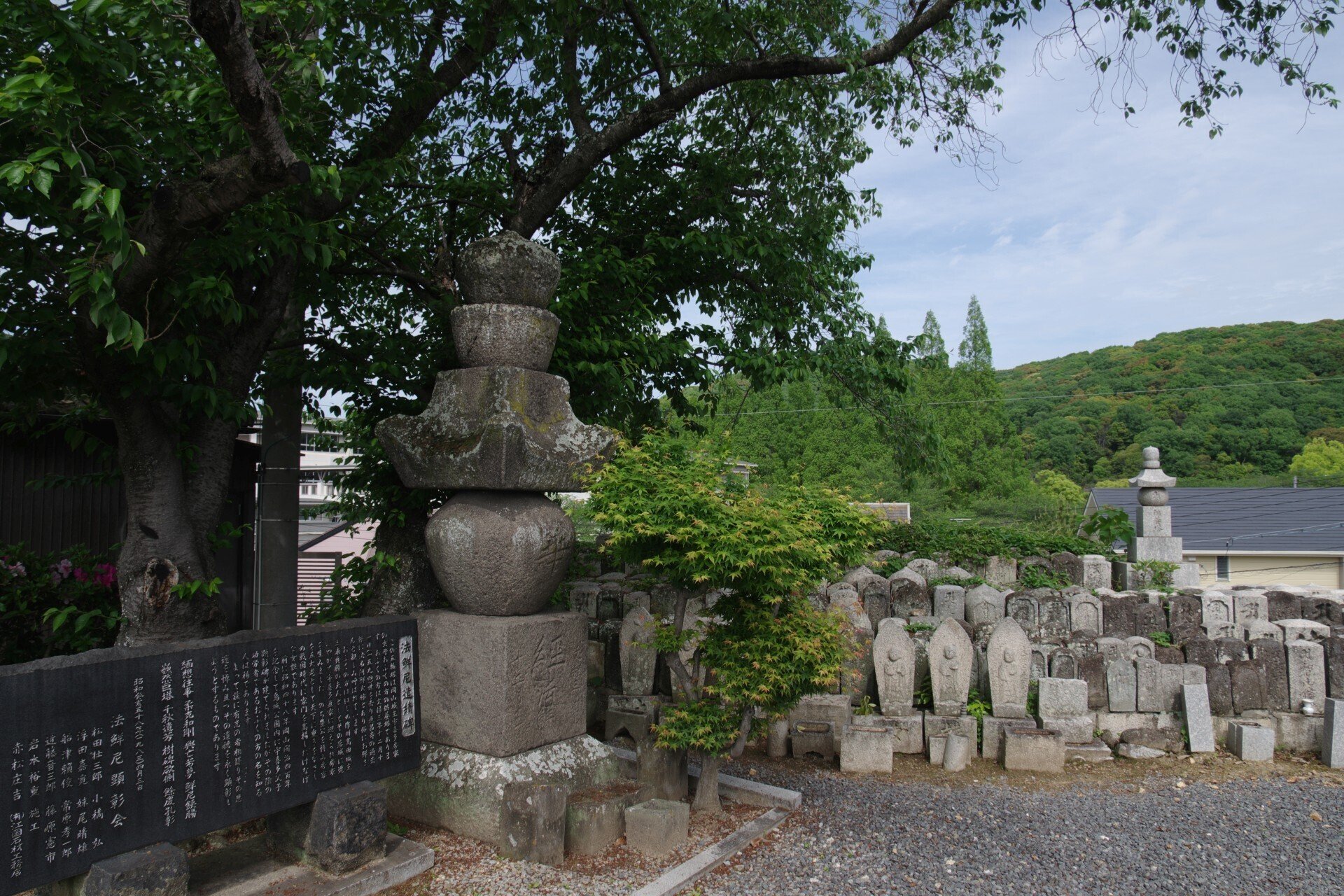 岡山の城巡り(2)岡山城 (K-70 / smc PENTAX-DA☆16-50mmF2.8 岡山の城巡り(2)岡山城 (K-70 / smc PENTAX-DA☆16-50mmF2.8