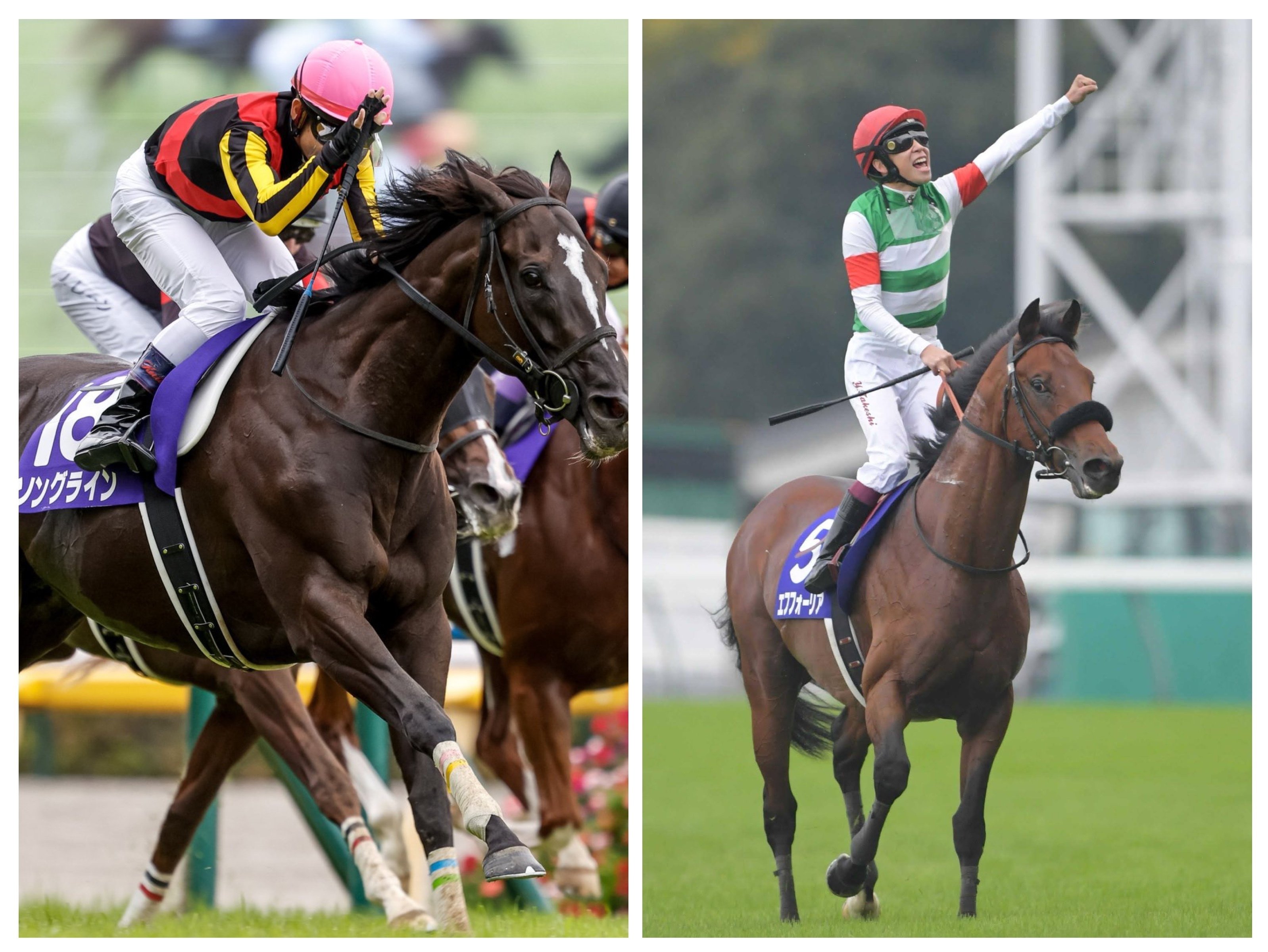  Blood　ロイヤルブラッド　サラブレッド　サンデーサイレンス 血統ニワカはもう卒業！みんなで血統勉強会！！（サンデーサイレンス編