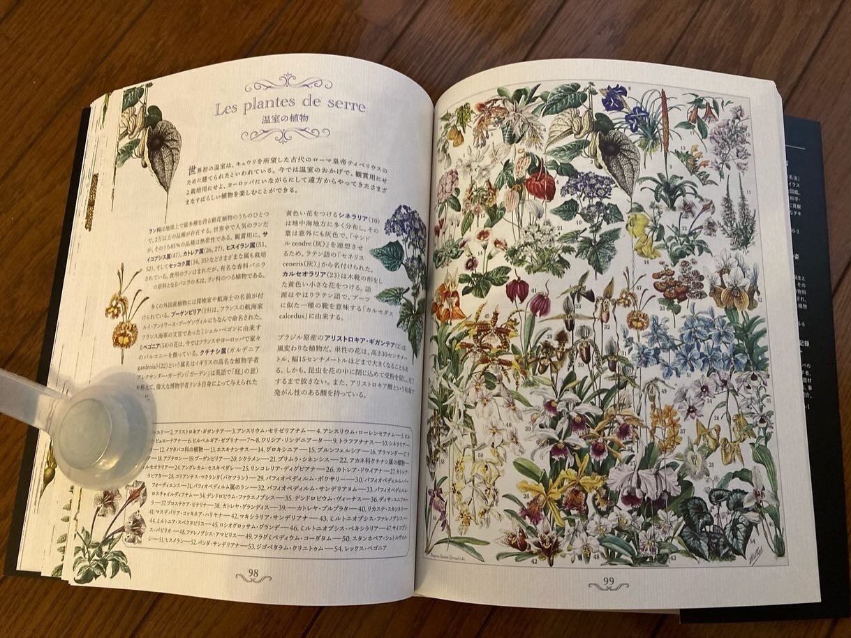 訳書】ラルース百科事典の芸術 ~フランス老舗出版社の至宝 訳書】ラルース百科事典の芸術 ~フランス老舗出版社の至宝