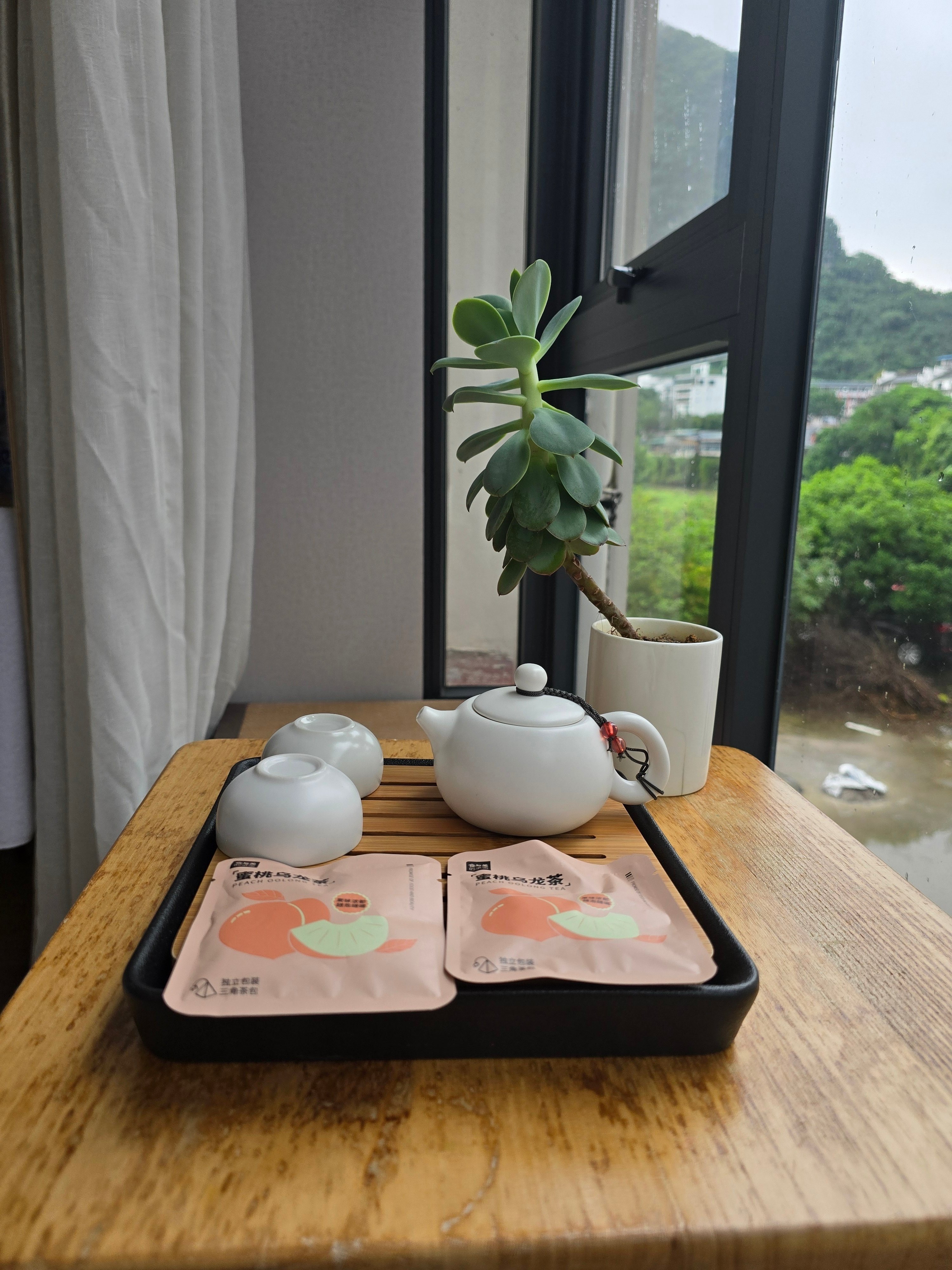 広州・桂林旅行記⑧阳朔公園の山頂でナンパ(?)されてゲッソリ 広州・桂林旅行記⑧阳朔公園の山頂でナンパ(?)されてゲッソリ