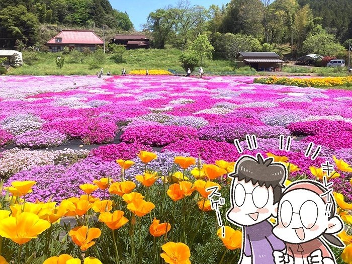 小舟の芝桜を見に行ったはずが｜夏福@イラストレーター