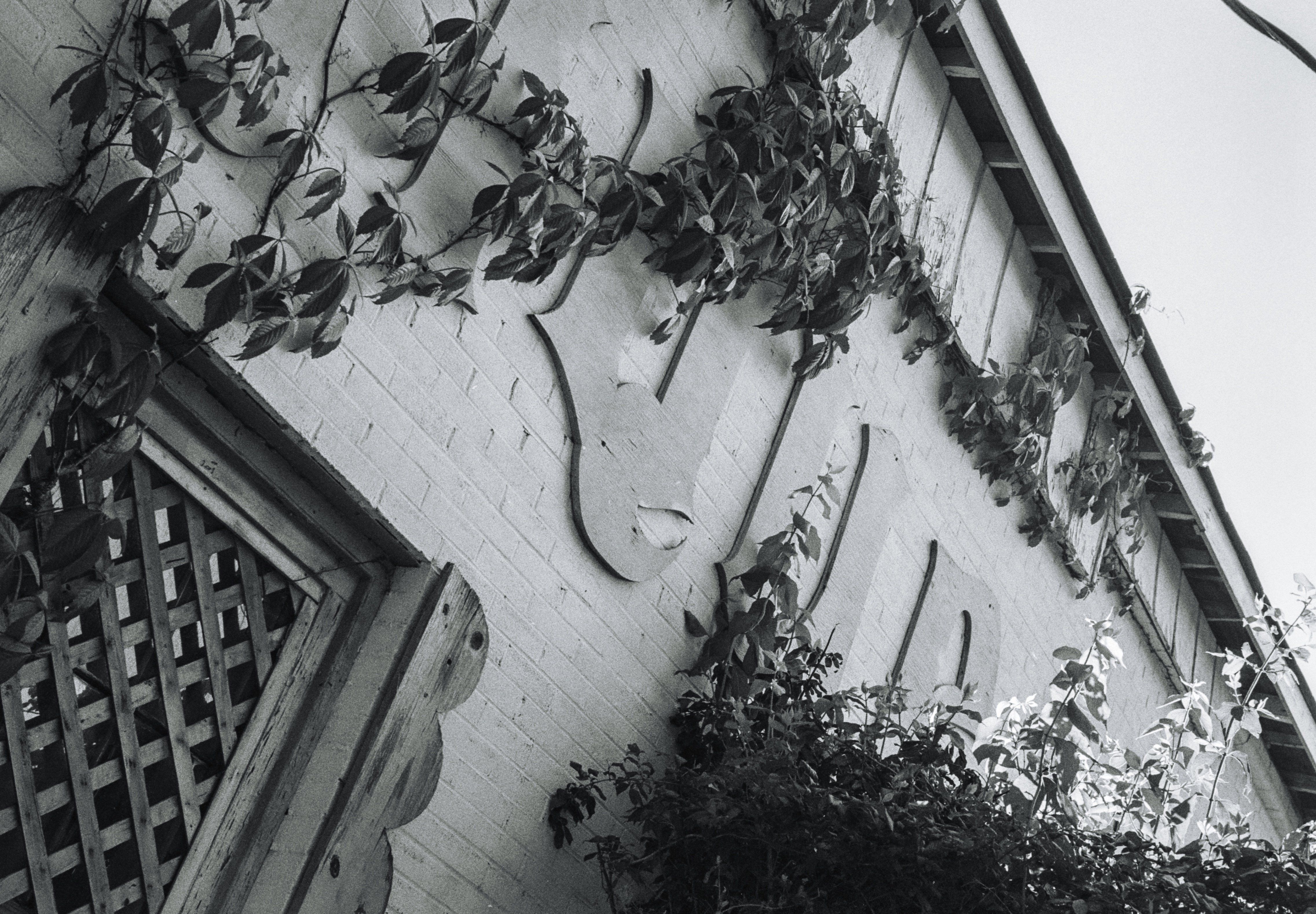 NOKTON Vintage Line 50mm F1.5 II 作例あり NOKTON Vintage Line 50mm F1.5 II 作例あり NOKTON F1.5と50mmを巡る