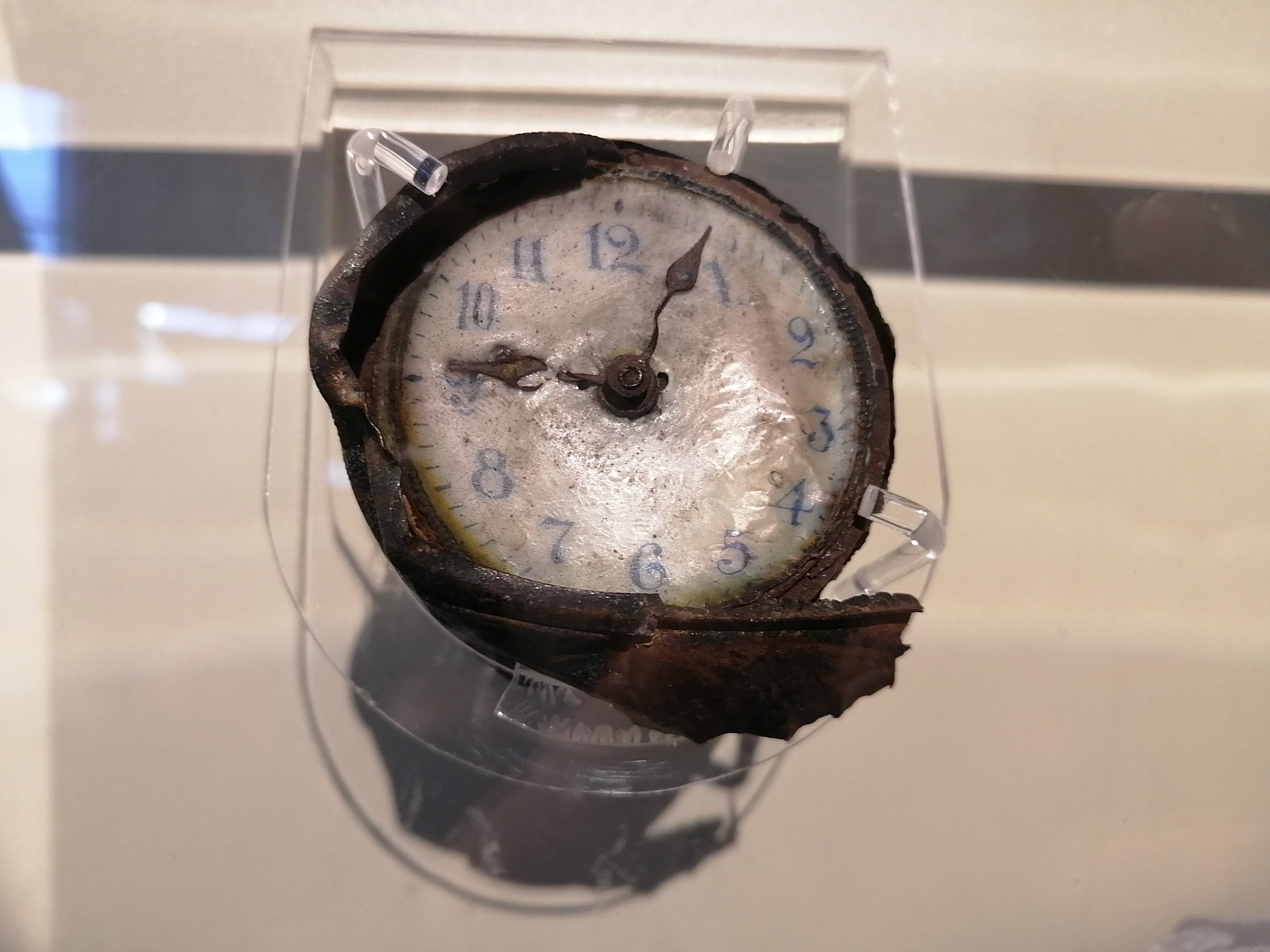人間によって引き起こされた原子爆弾に次ぐ最大の災害 1917年の 人間によって引き起こされた原子爆弾に次ぐ最大の災害 1917年の