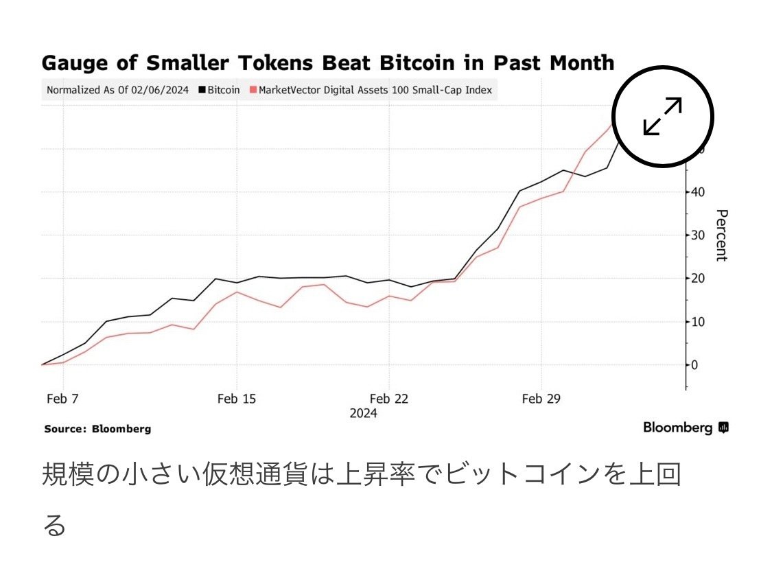 ビットコインとアルトコインの相関性｜Tomoki