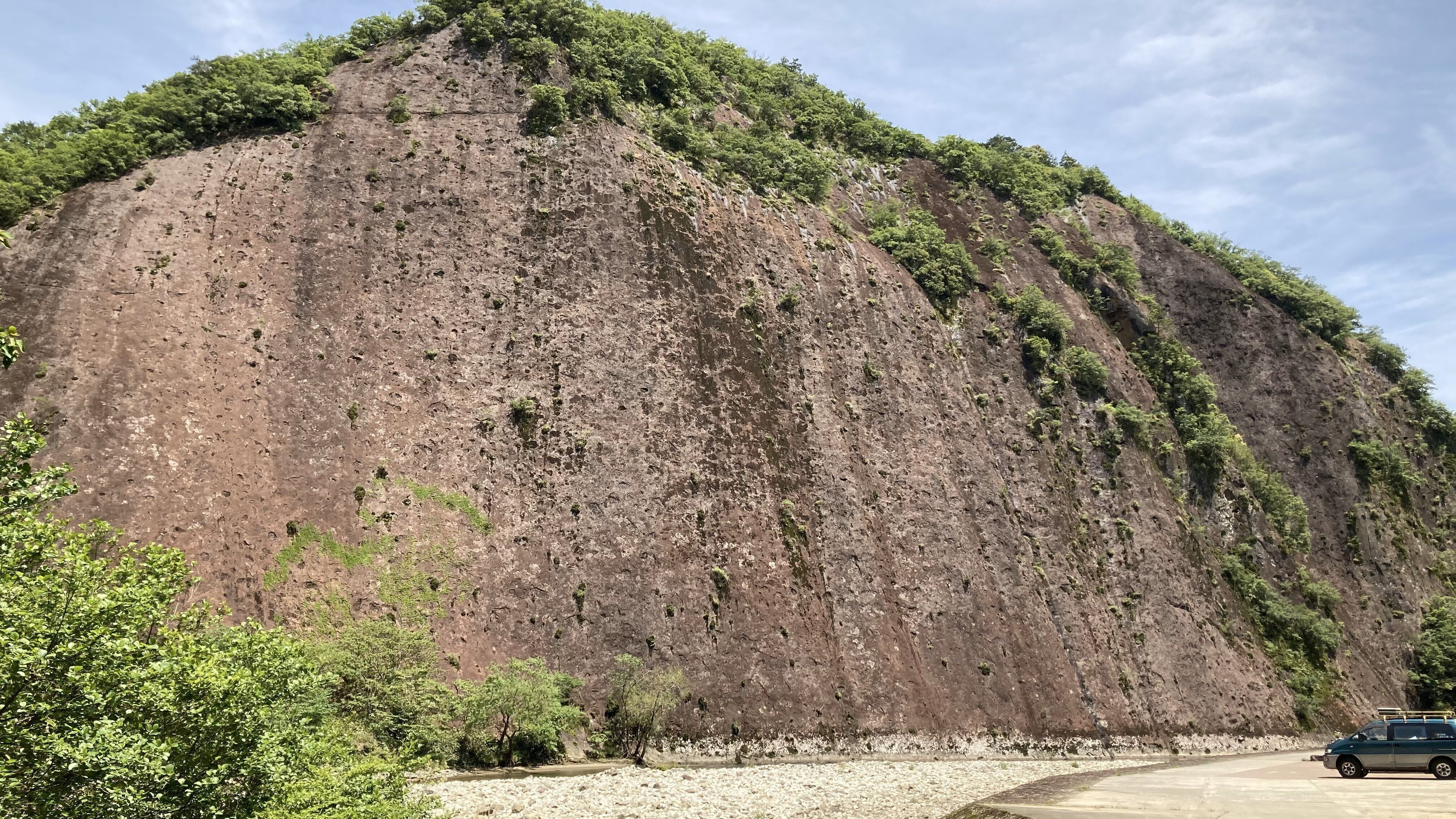わらび苗(紀伊山地)1000本 紀伊半島旅行記 古座川町一枚岩｜H.Nicky
