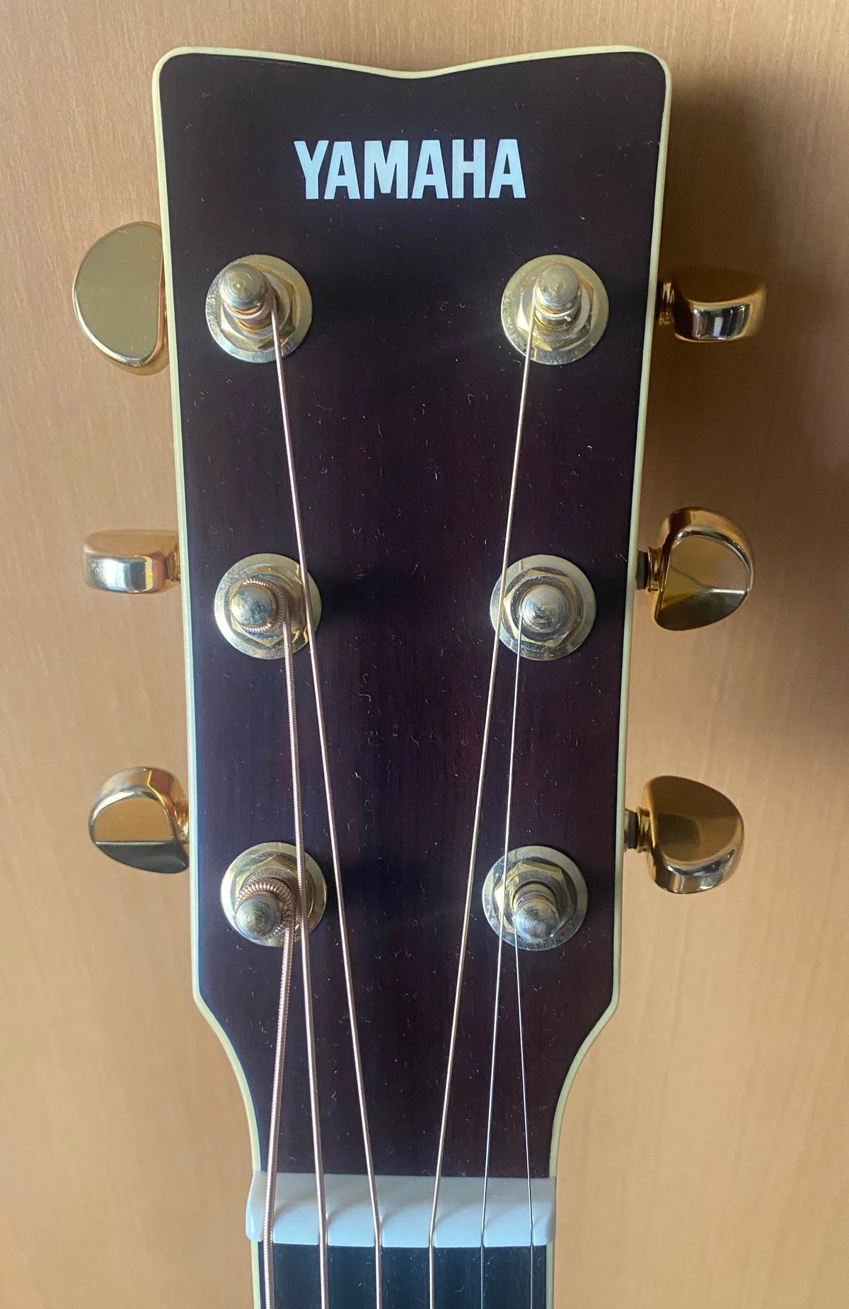 ちょっと見直しました。YAMAHA」｜アコギ部長