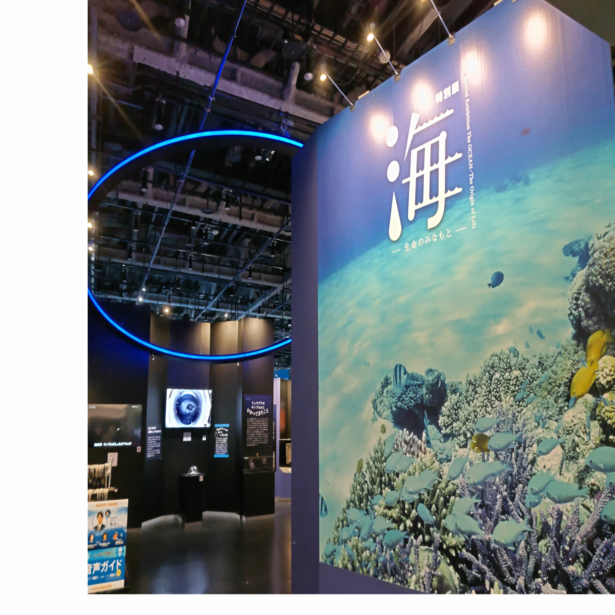 特別展「海 －生命のみなもと－」学芸員的ココ見て！ポイント｜名古屋