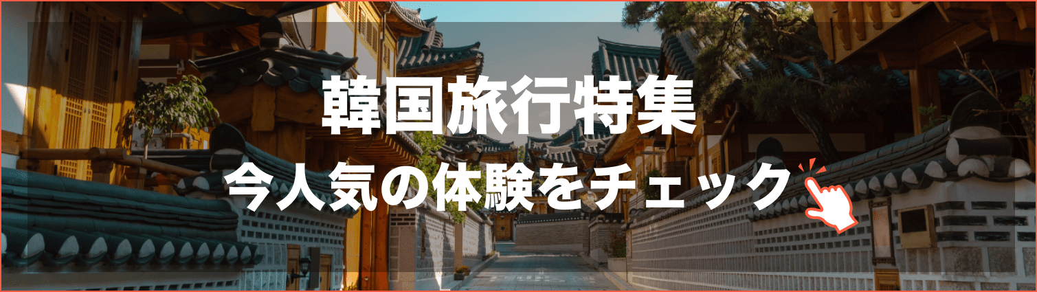 IN THE SOOP BTS編 'ピョンチャン（平昌）'ロケ地 ツアー＜1日ツアー