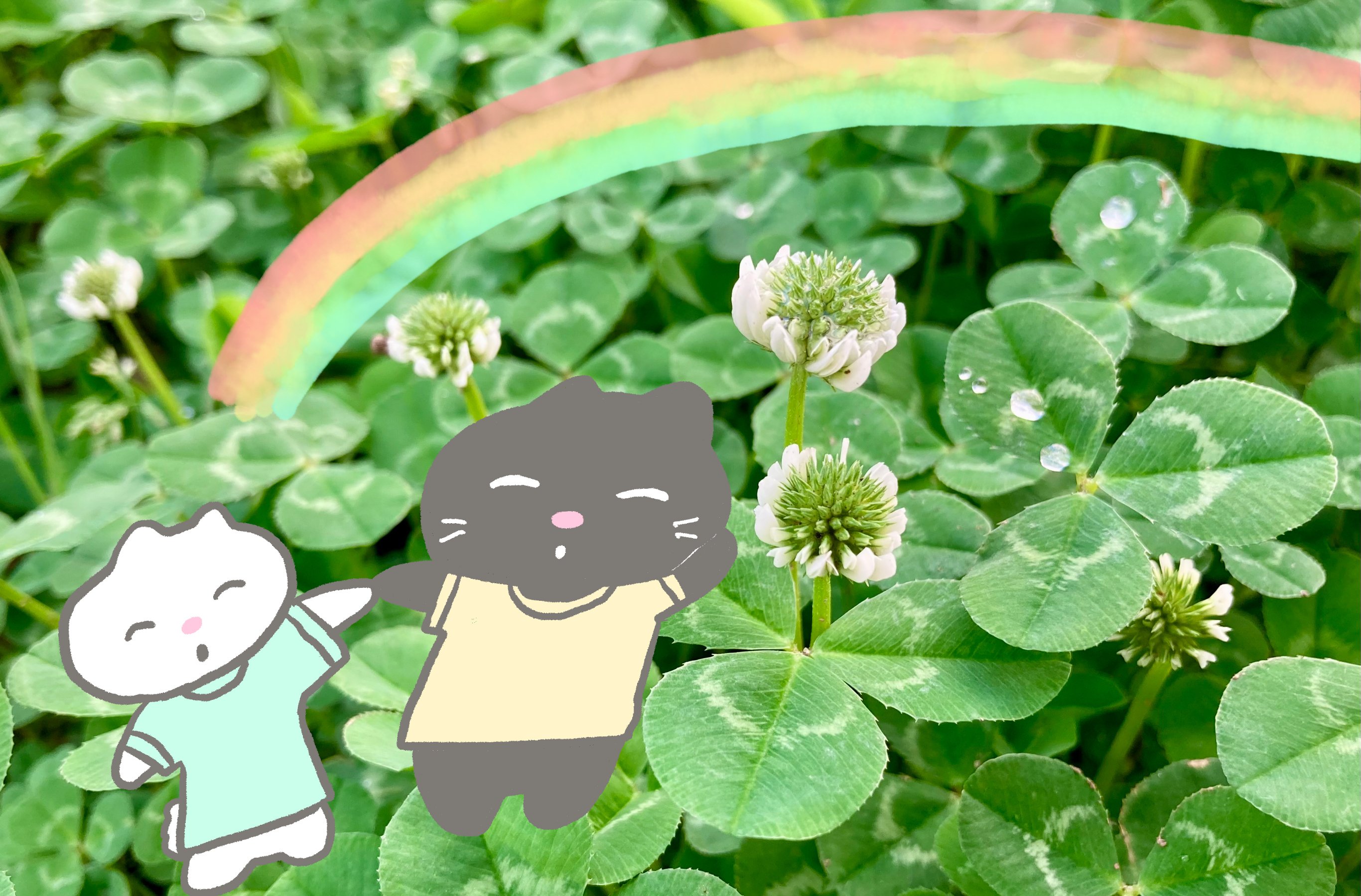 どうすれば虫歯を予防できるのでしょうか?