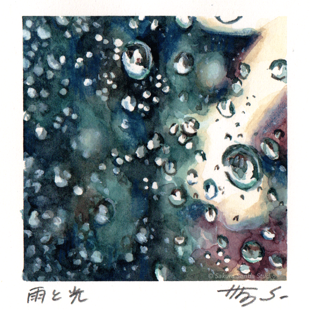 水 彩 画｜仙波さくら