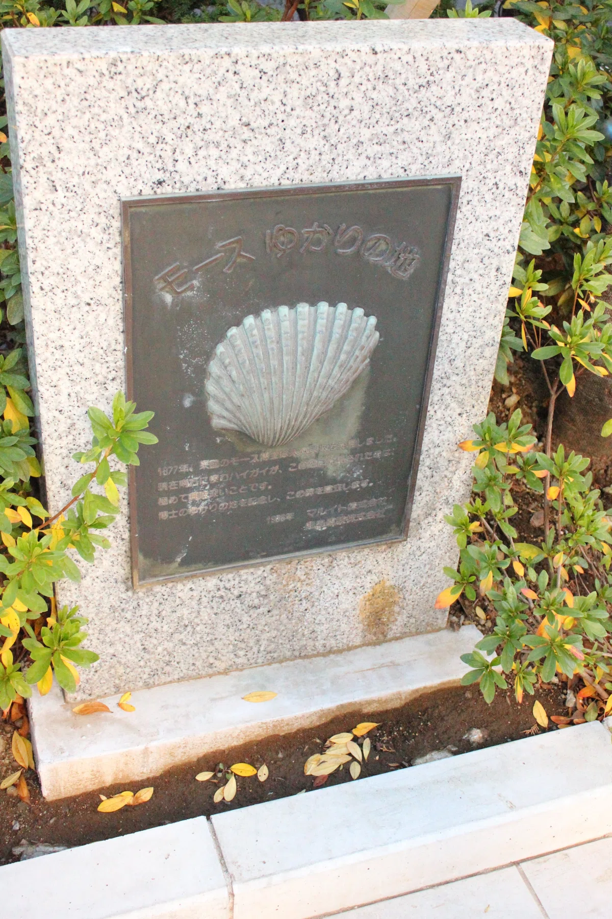 国内 