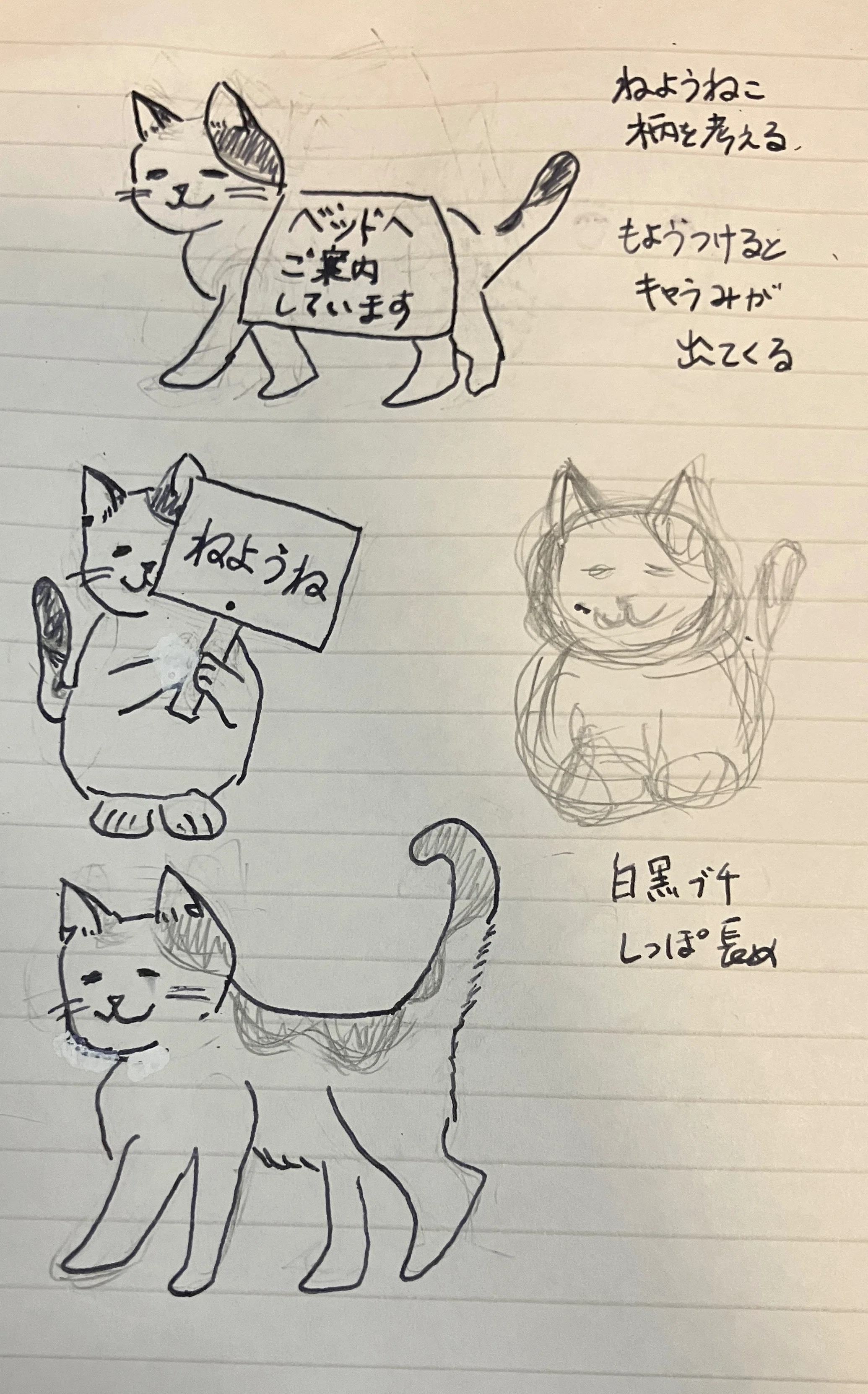 21日目・フェザで動き練習、ねようねこに個性【100日後に猫のかわいい
