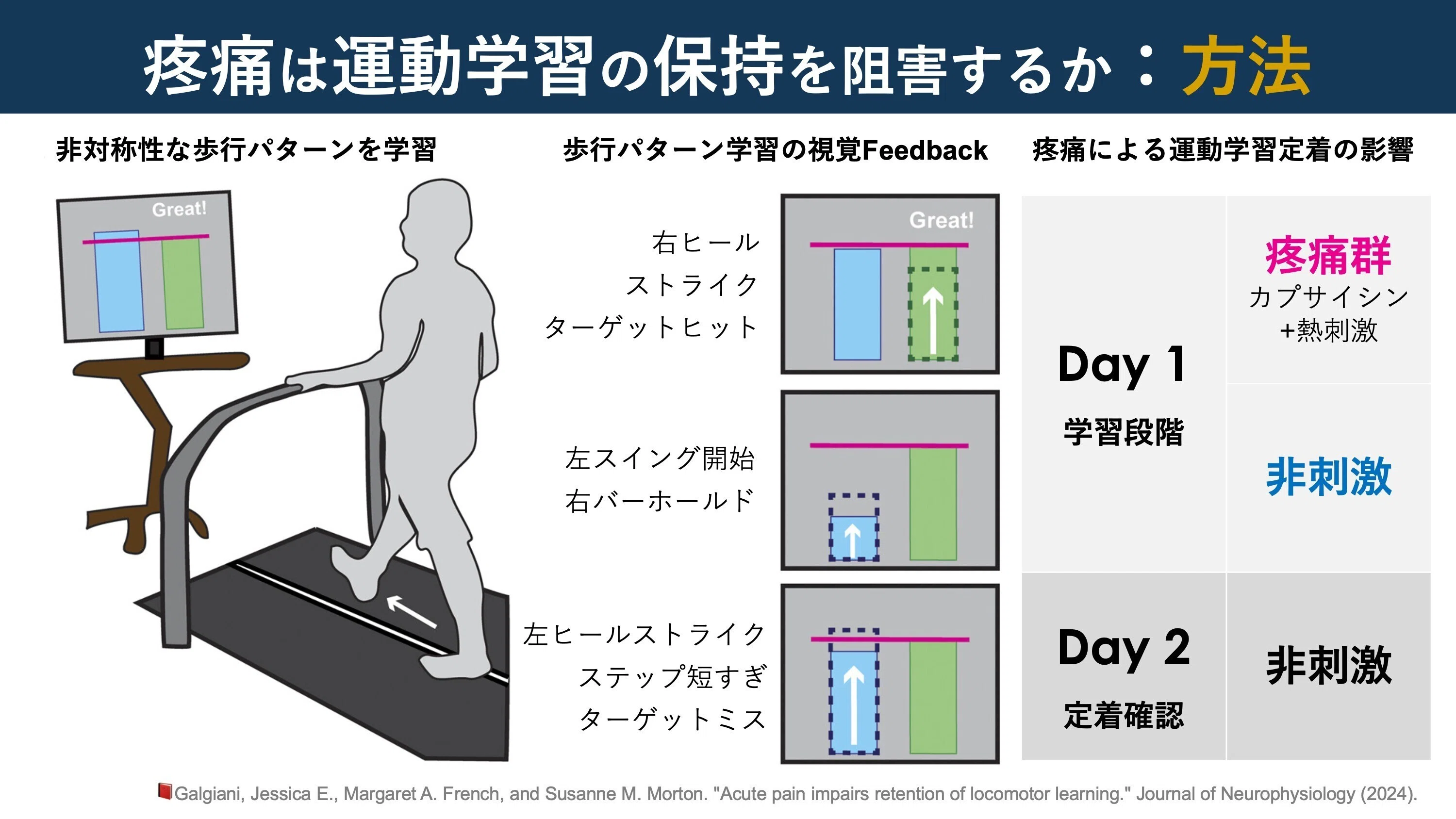 疼痛は運動学習の保持を阻害する｜Super Human | 理学療法士／保健学