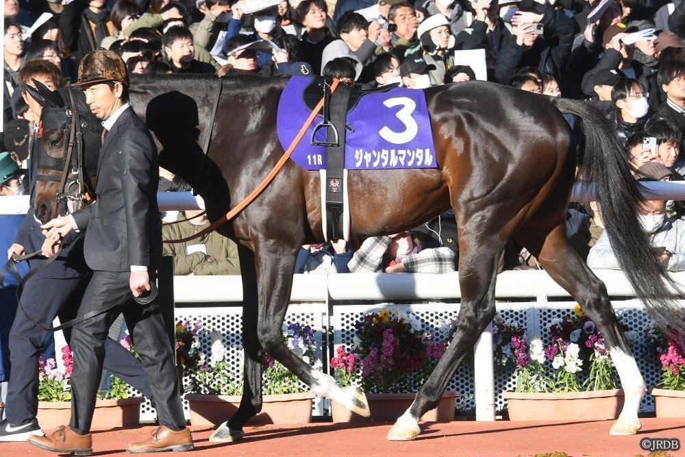 5/5(日)東京11R NHKマイルカップ 赤木の予想|JRDB 競馬 5/5(日)東京11R NHKマイルカップ 赤木の予想|JRDB 競馬