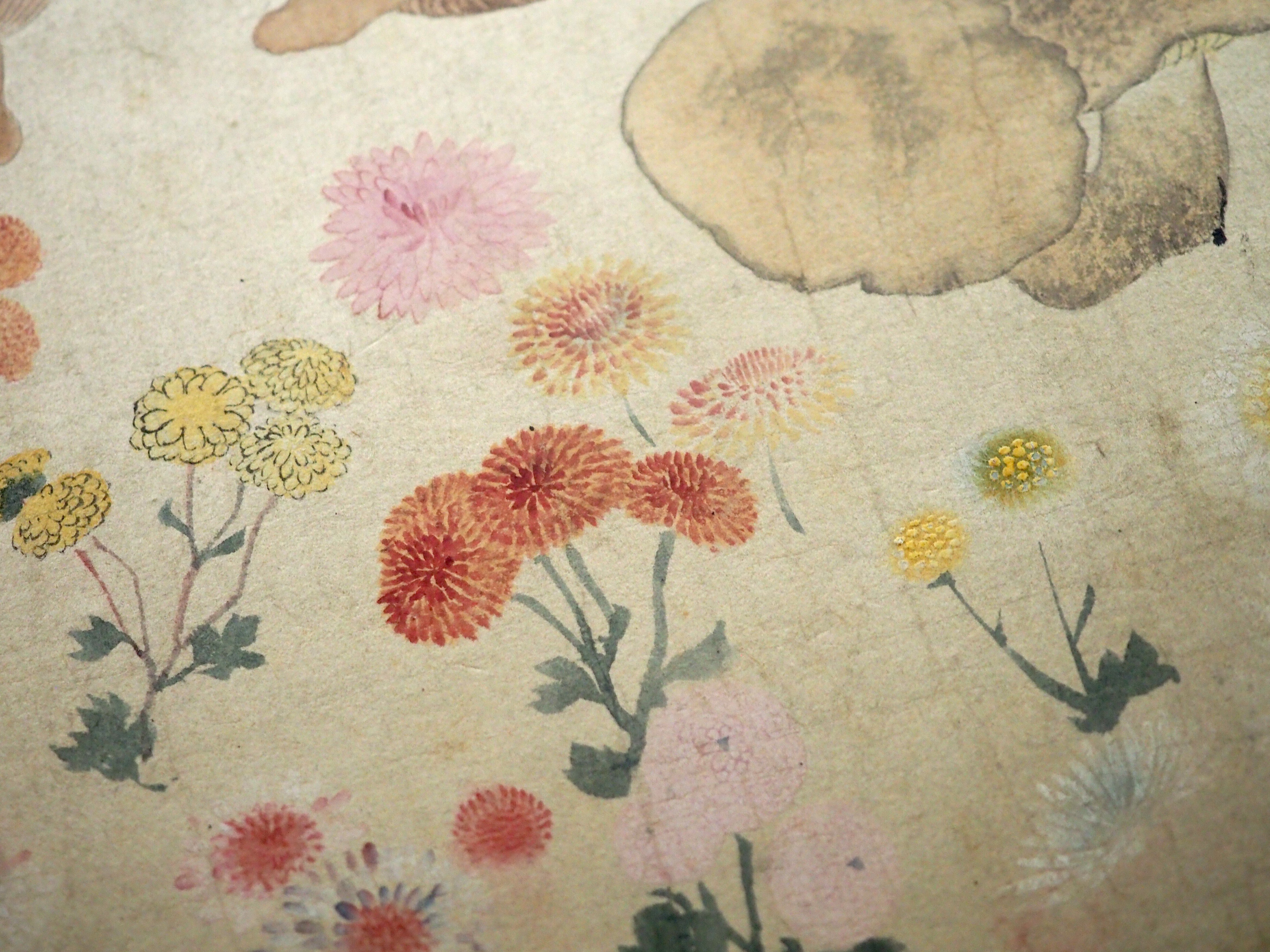 これってぇ……円山応挙の傑作じゃないですか？ 《写生帖 乙帖》 @東京