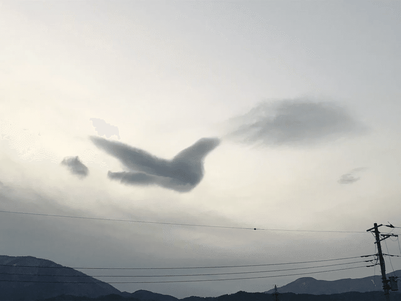 鳩の形の雲