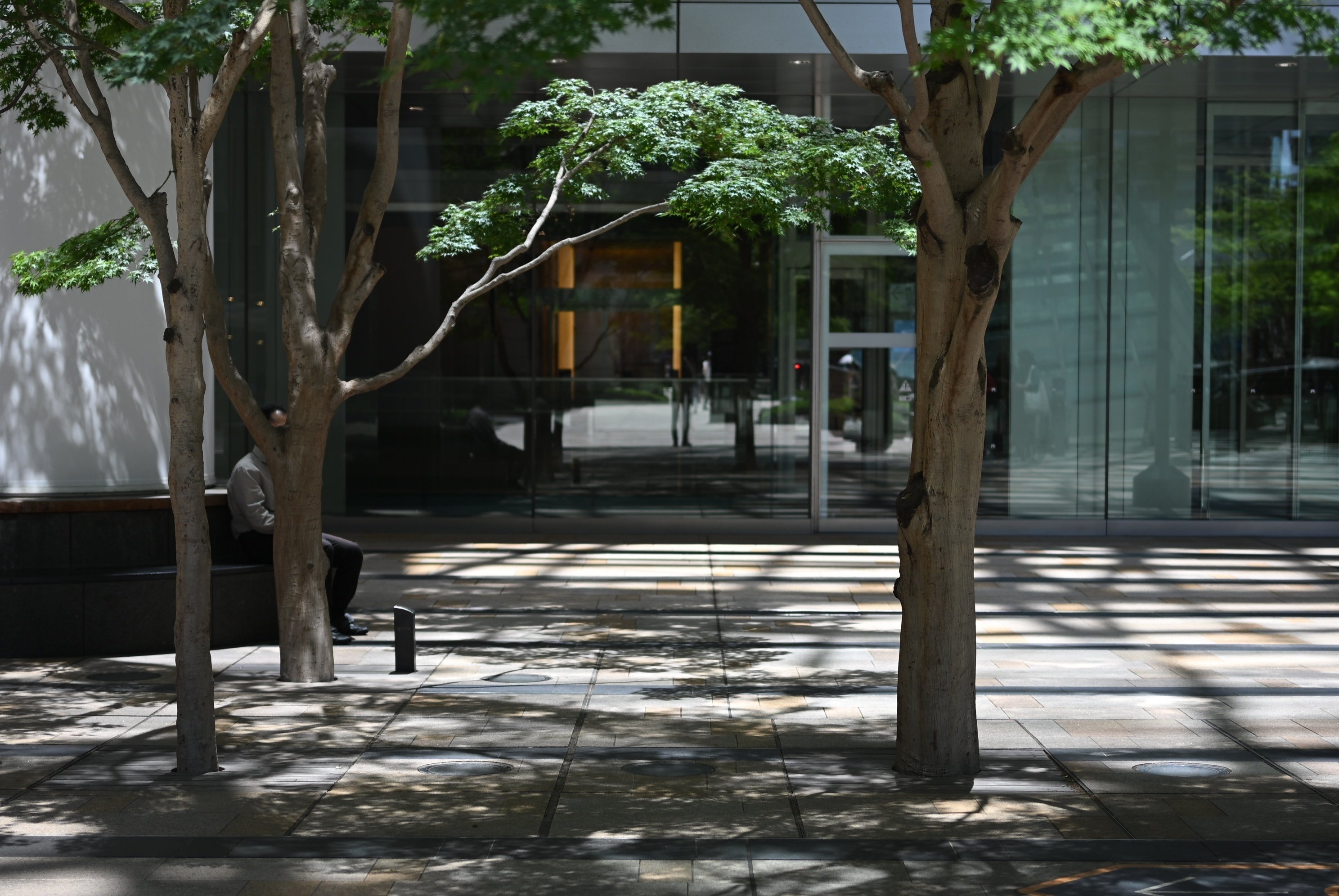 六本木・東京ミッドタウンスナップ [Nikon Zf]｜Telin.