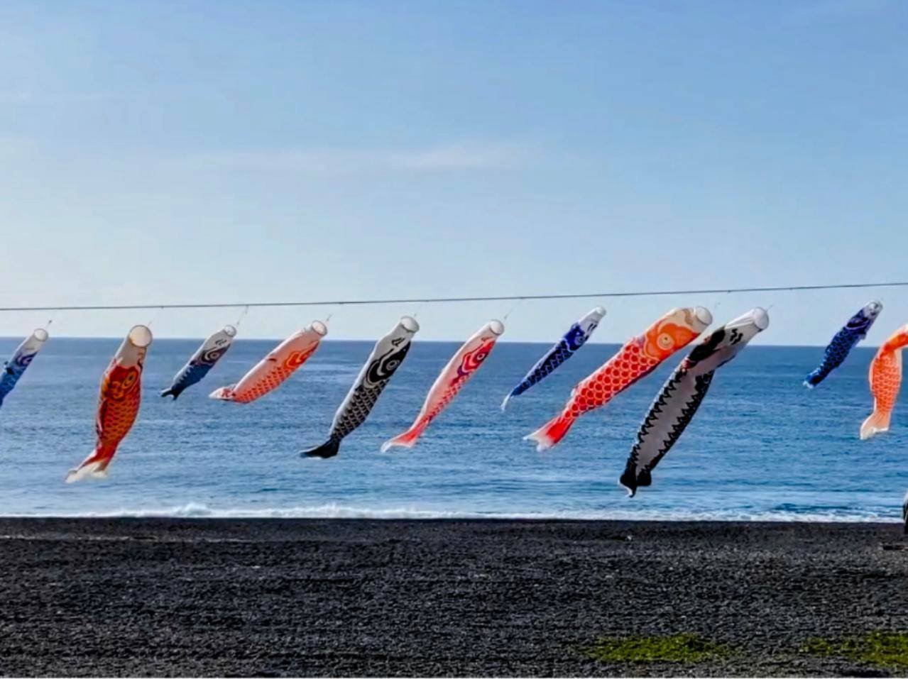 初夏の風物詩｢七里御浜の鯉のぼり｣（三重県熊野市）【紀伊半島を知る