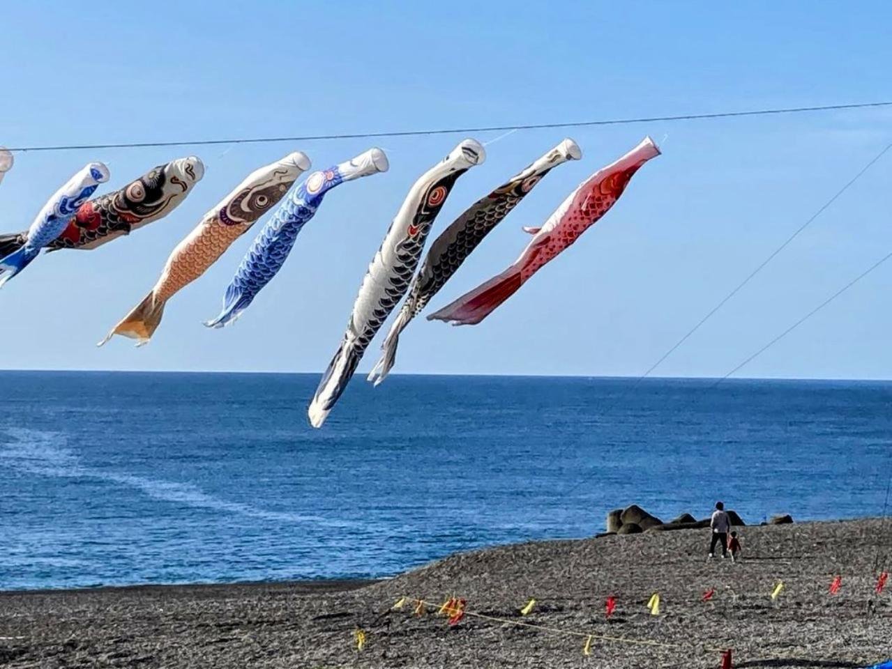 初夏の風物詩｢七里御浜の鯉のぼり｣（三重県熊野市）【紀伊半島を知る