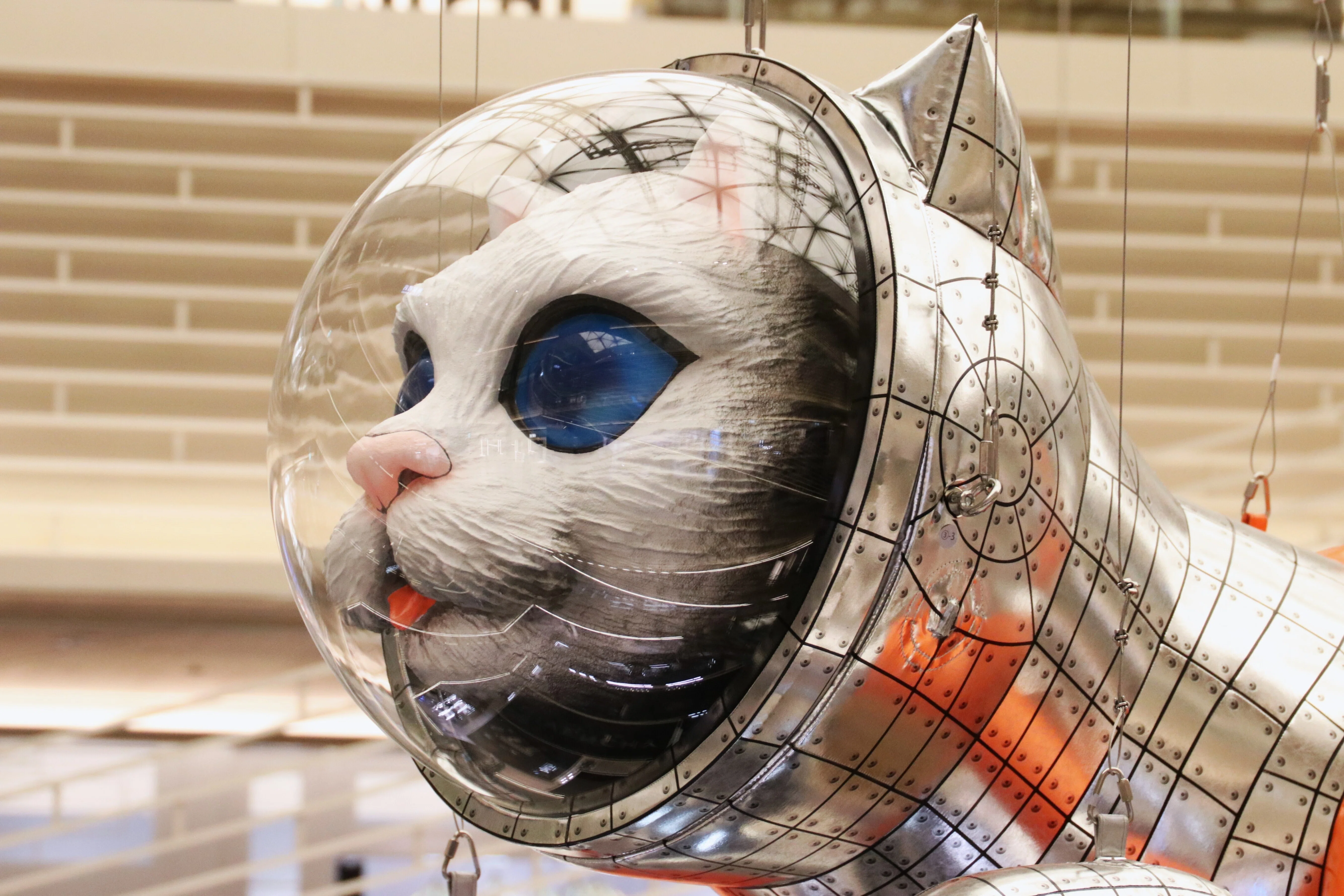 写真】BIG CAT BANG＠GINZA SIX｜Abbey -旅するように暮らす、暮らす