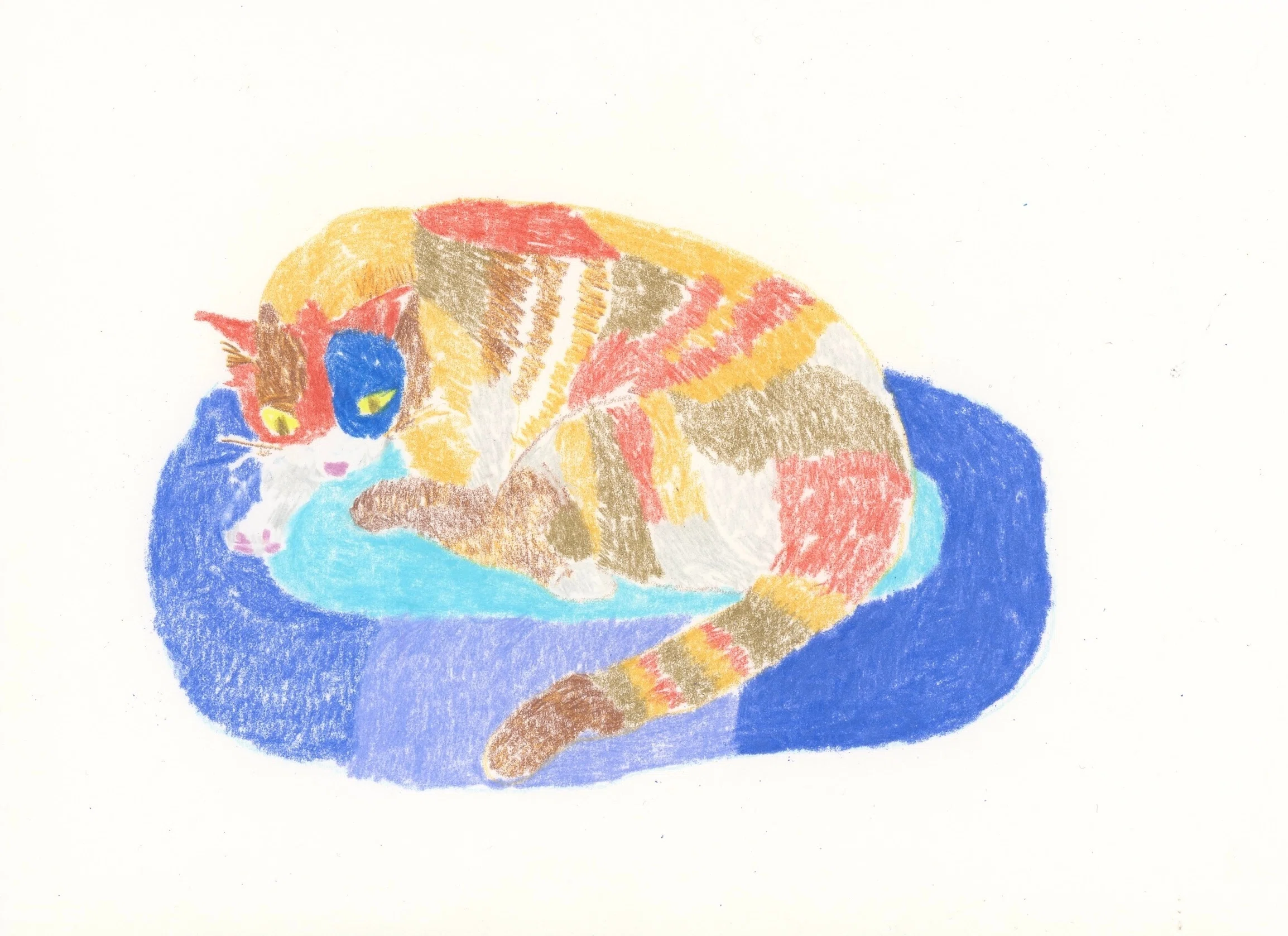 small talk #03 ｜ 私の猫 ｜ yuko maegawa｜縁側 by PARK GALLERY