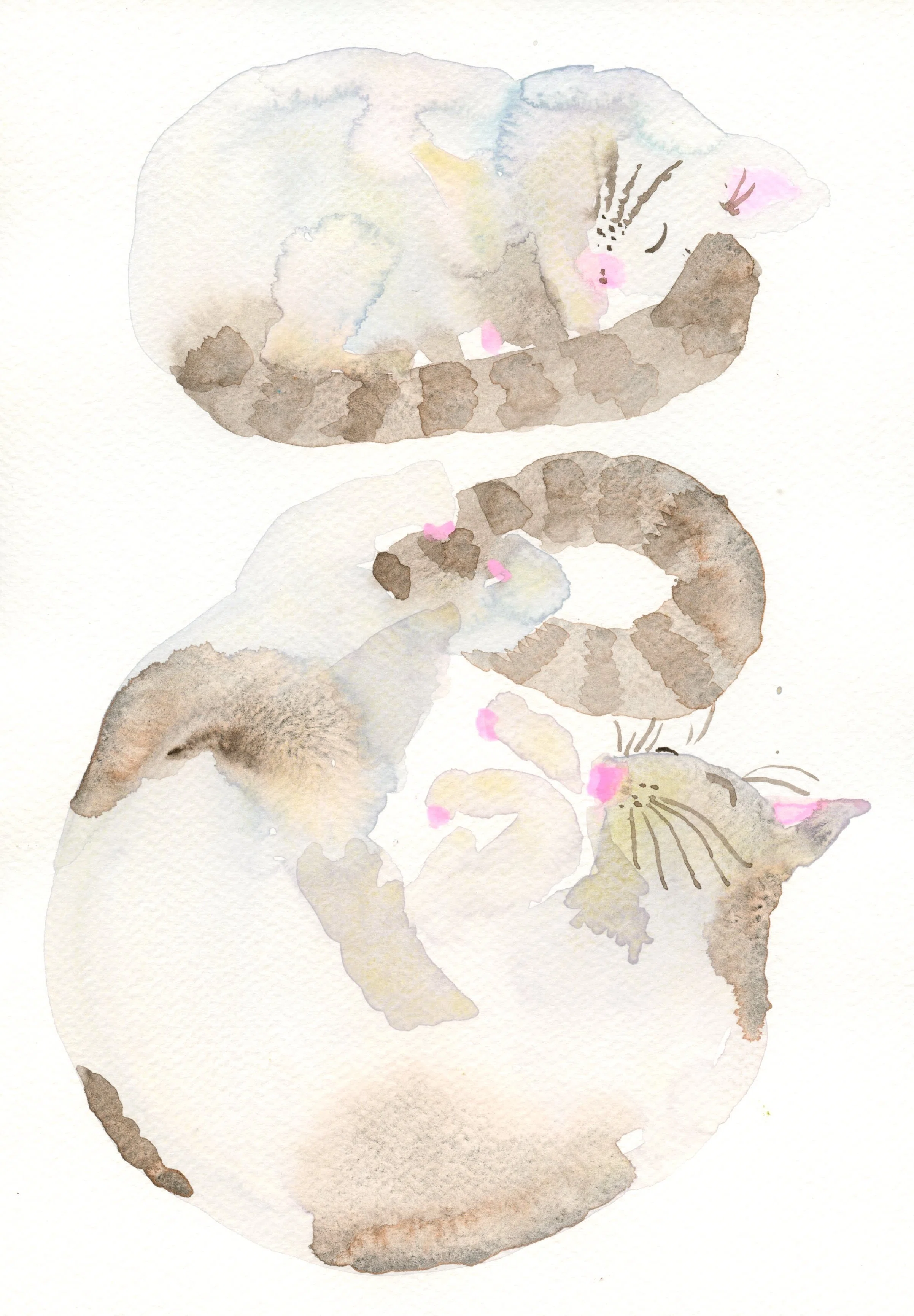 small talk #03 ｜ 私の猫 ｜ yuko maegawa｜縁側 by PARK GALLERY