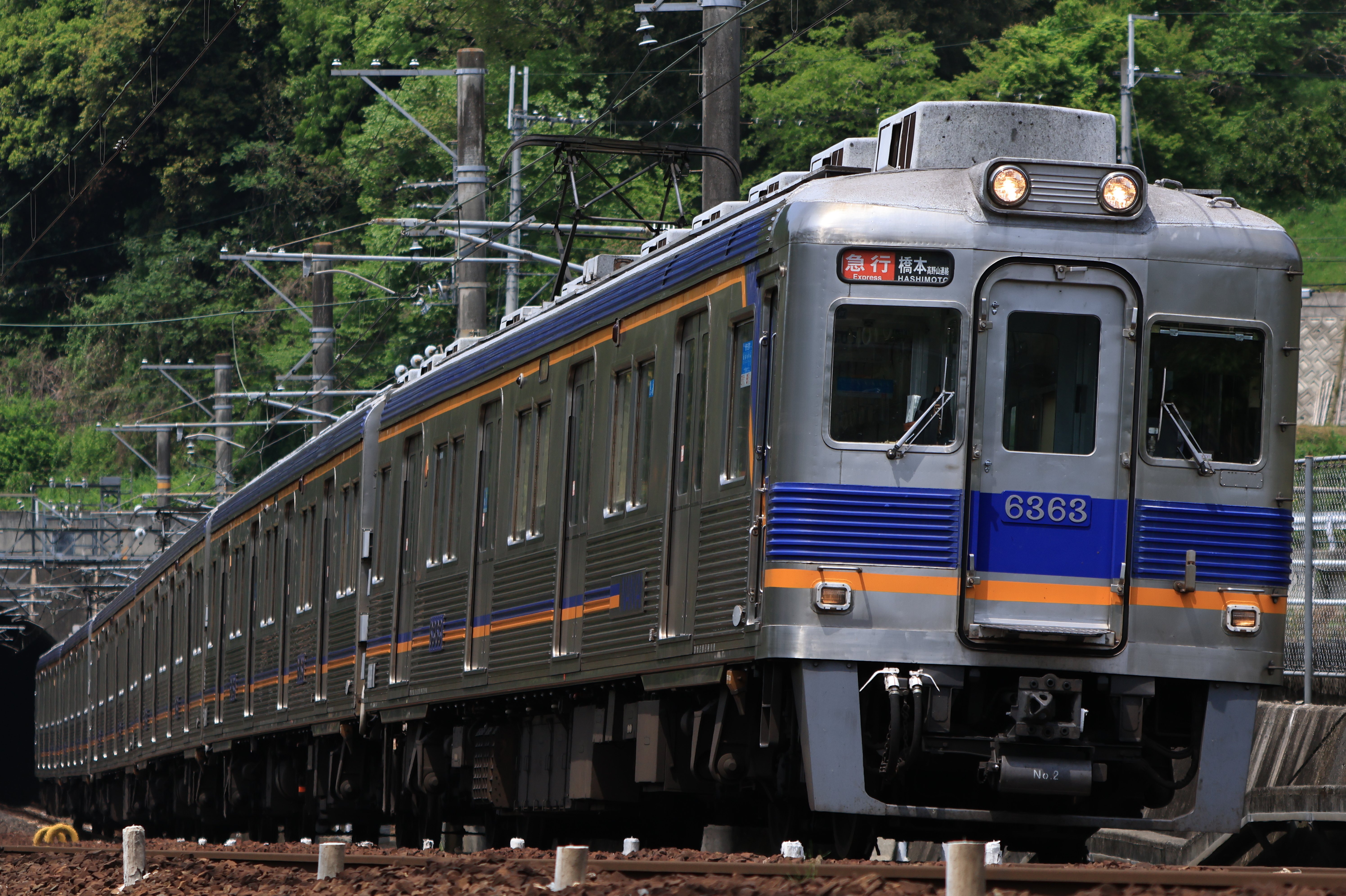 GWを振り返る①【南海高野線撮影録】 2024.4.28｜かざくも