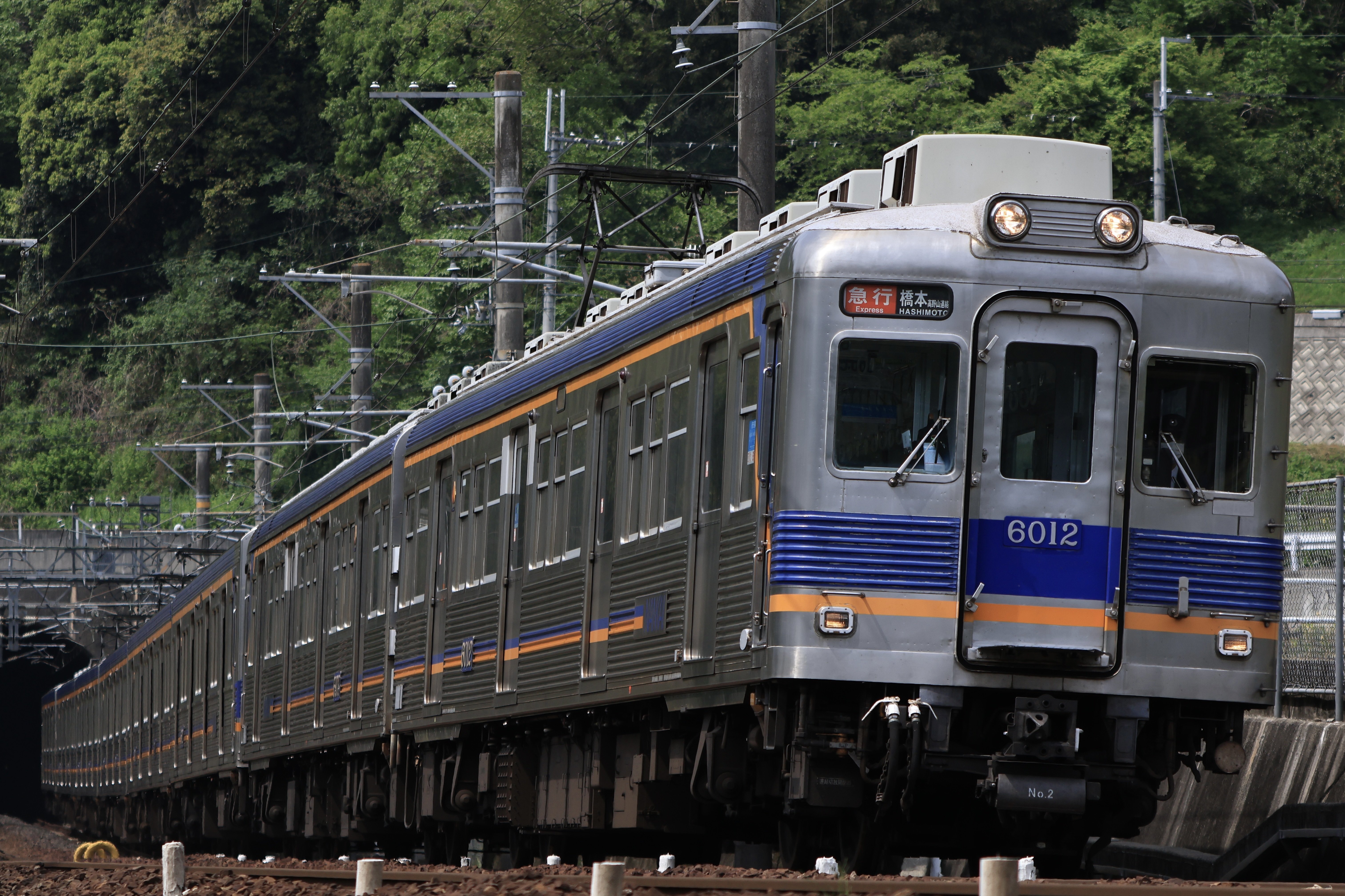 GWを振り返る①【南海高野線撮影録】 2024.4.28｜かざくも