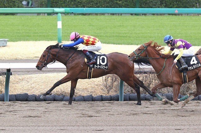Yahoo!オークション - アメリカ 競馬史 ウィリアム・H・P